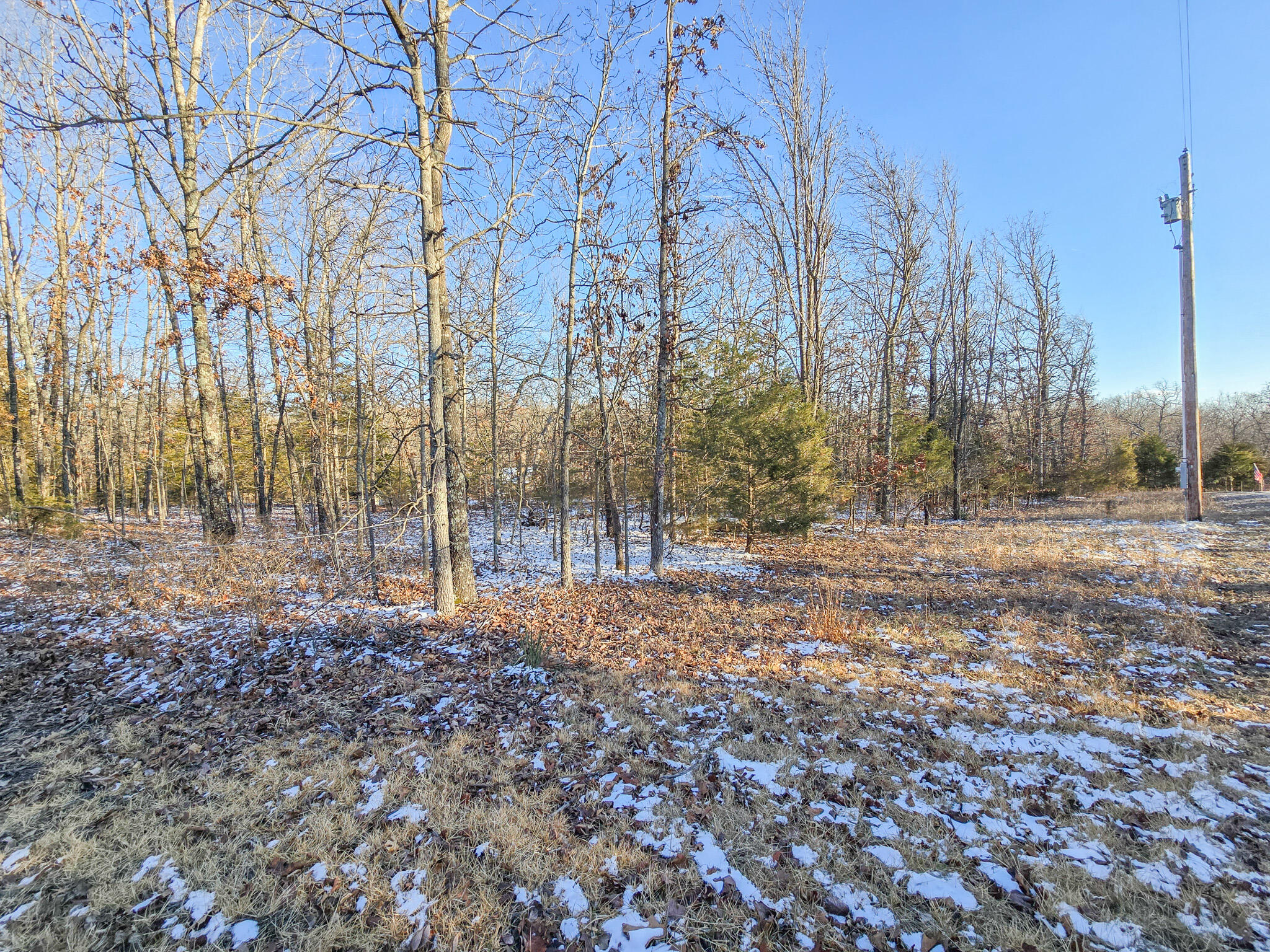 000 Maple Lane Property Photo 3