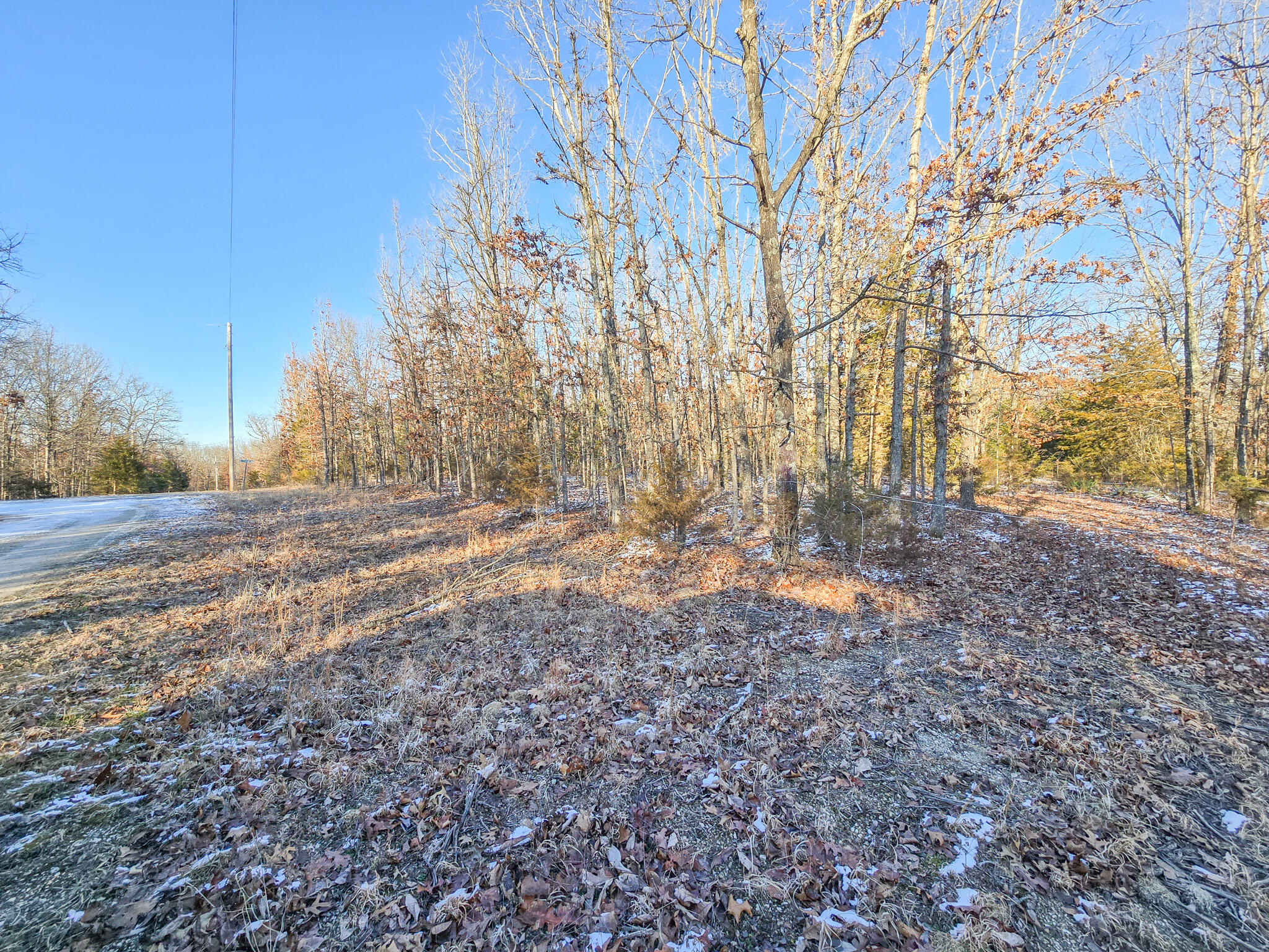000 Maple Lane Property Photo 4