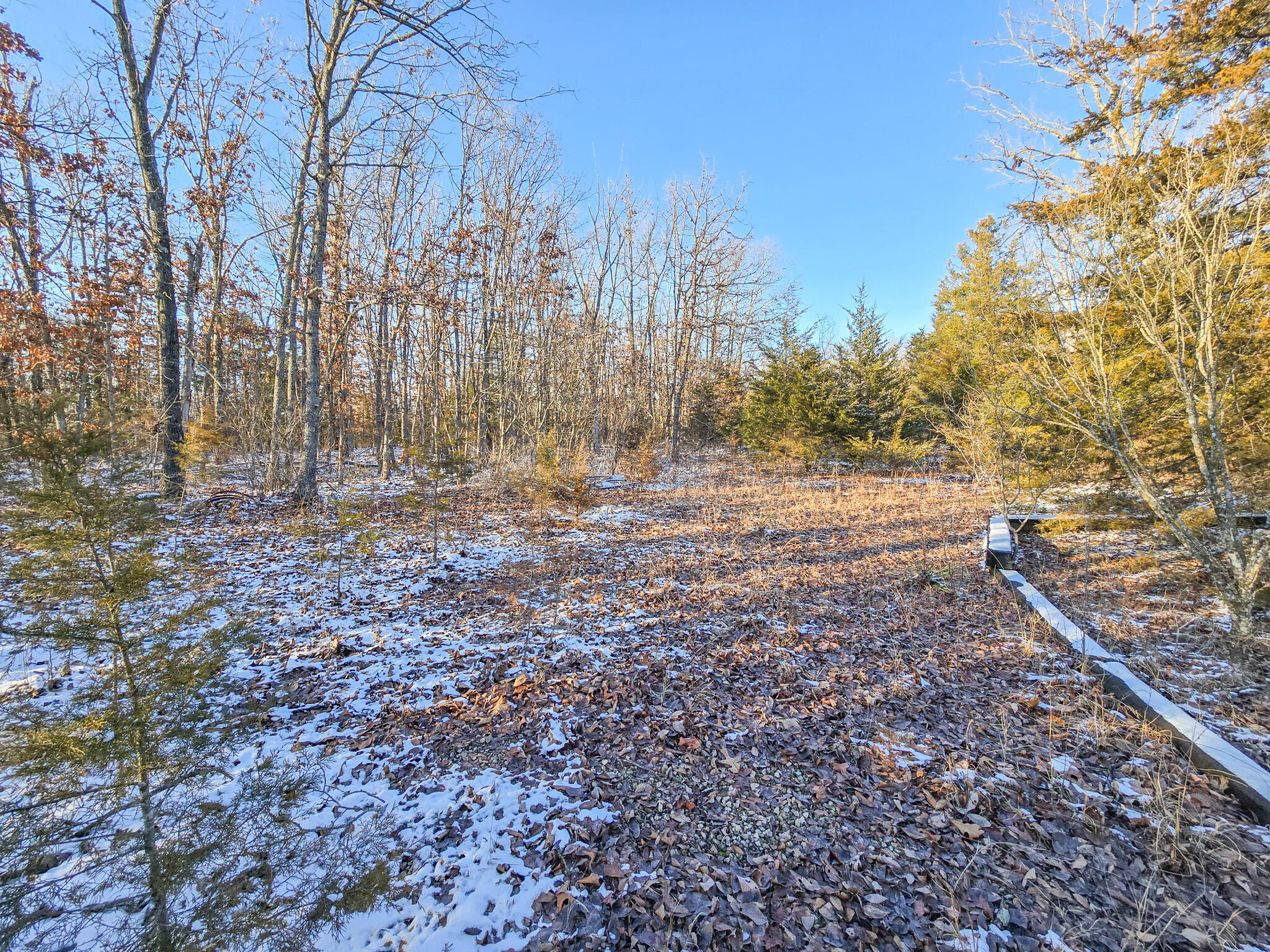 000 Maple Lane Property Photo 8