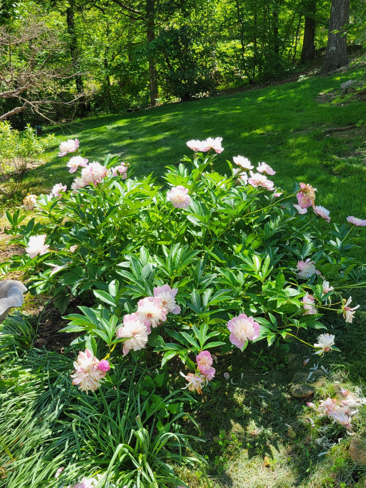 143 Arizona Drive Property Photo 83