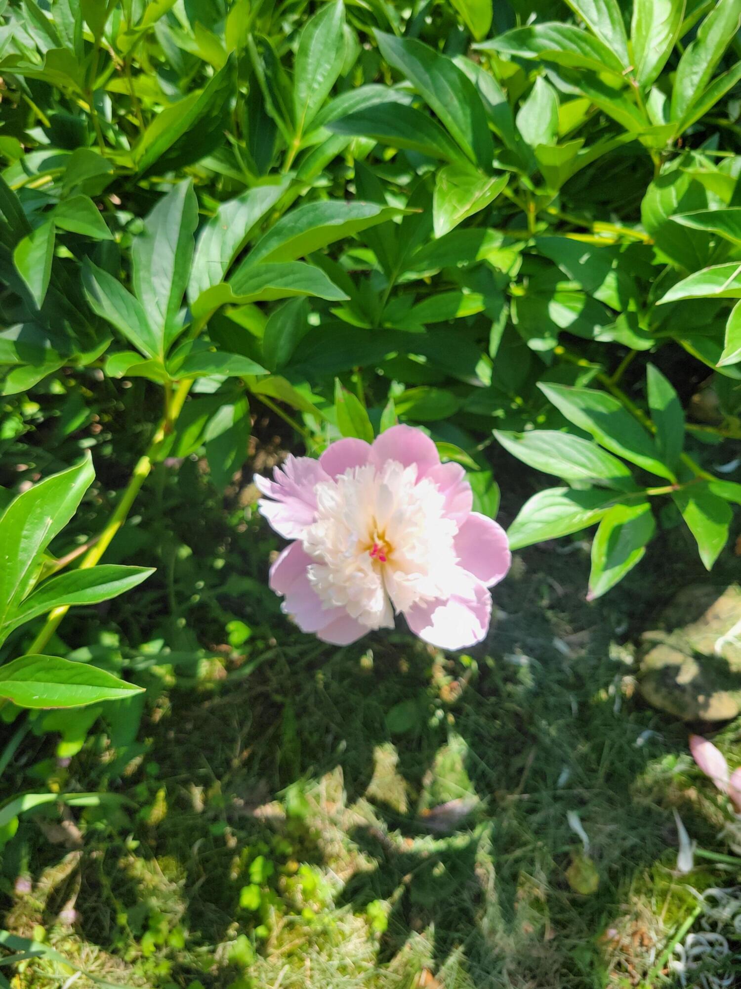 143 Arizona Drive Property Photo 86