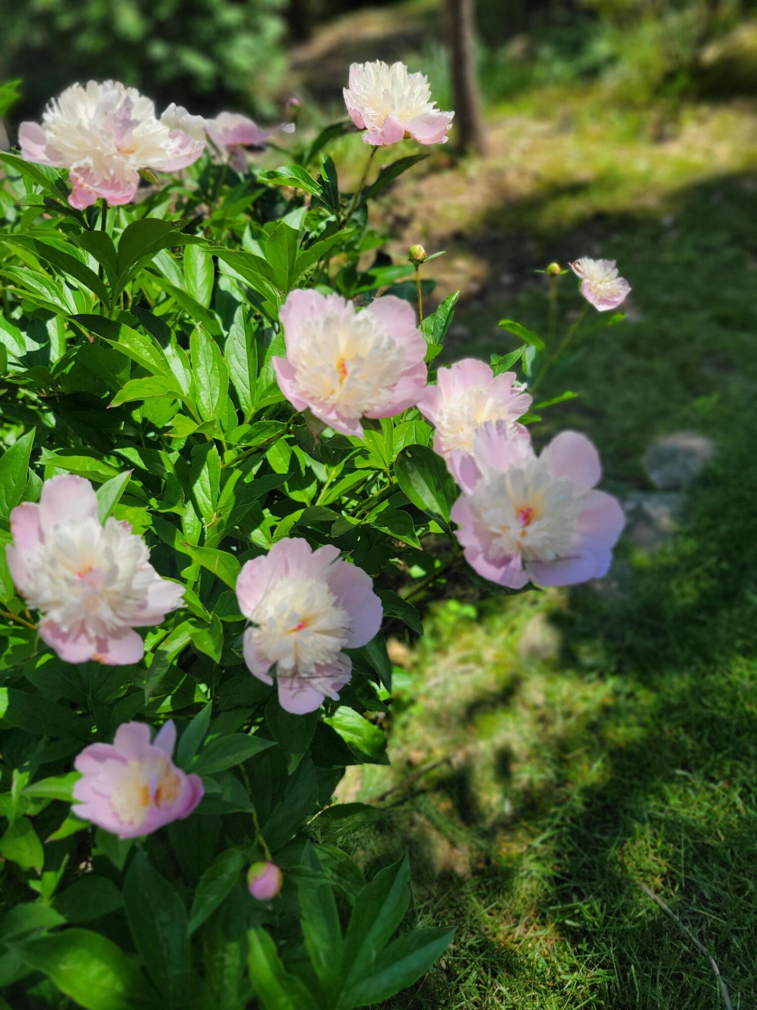 143 Arizona Drive Property Photo 87