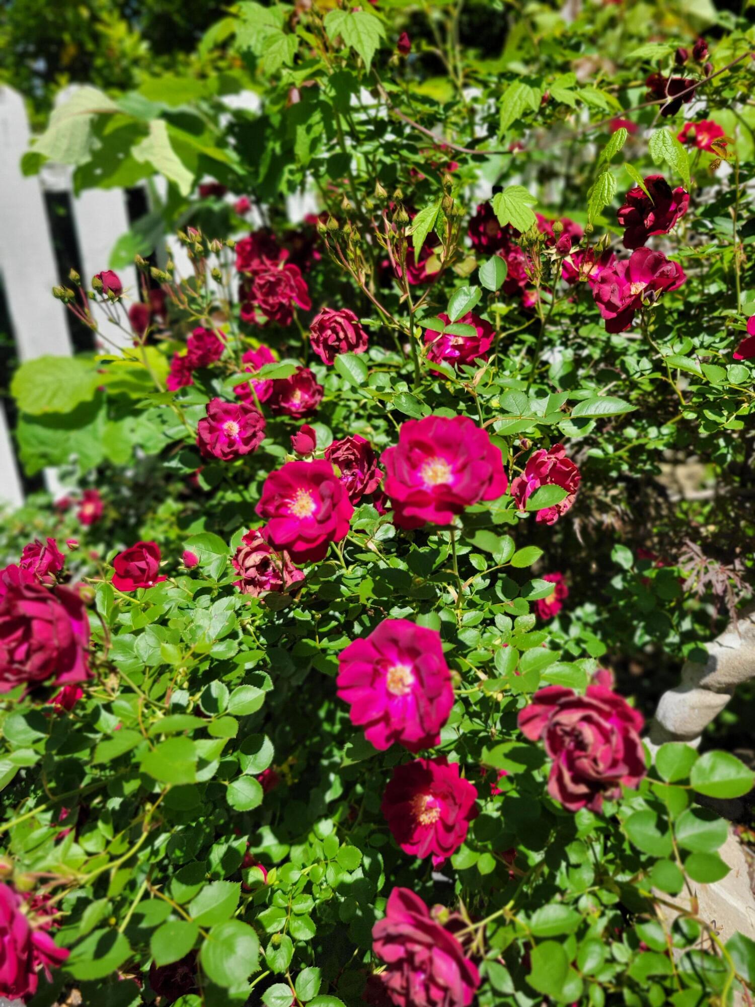 143 Arizona Drive Property Photo 88