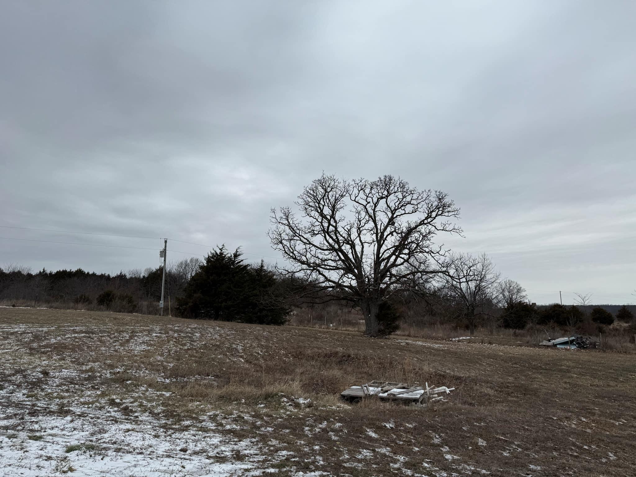 10838 North Honeydew Lane Property Photo 25