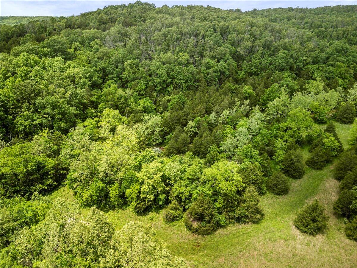 000 Shelton Road Property Photo 18