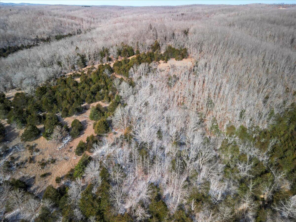 000 Shelton Road Property Photo 27