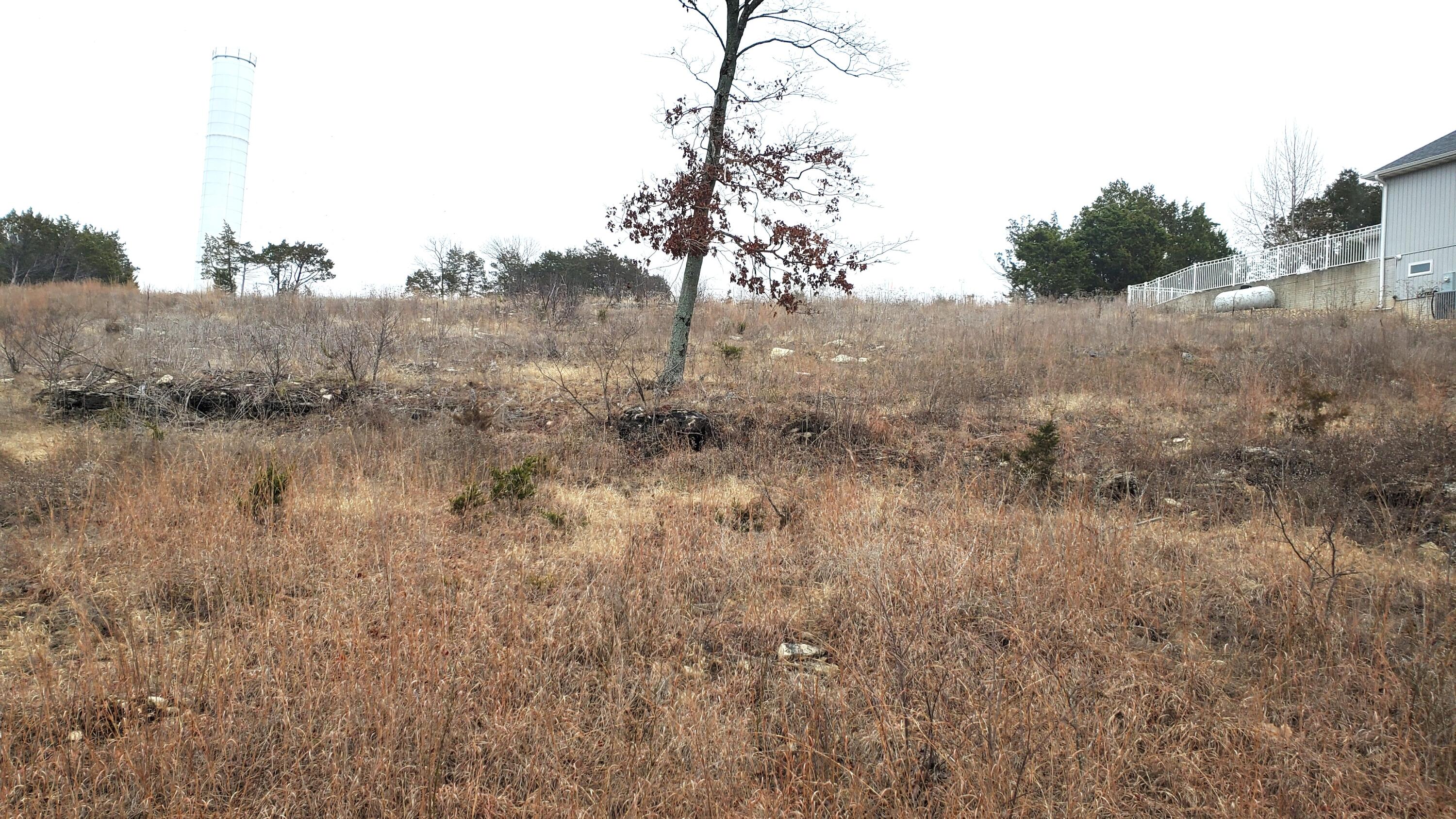 000 Lot 251 Silver Sunset Lane Property Photo 1