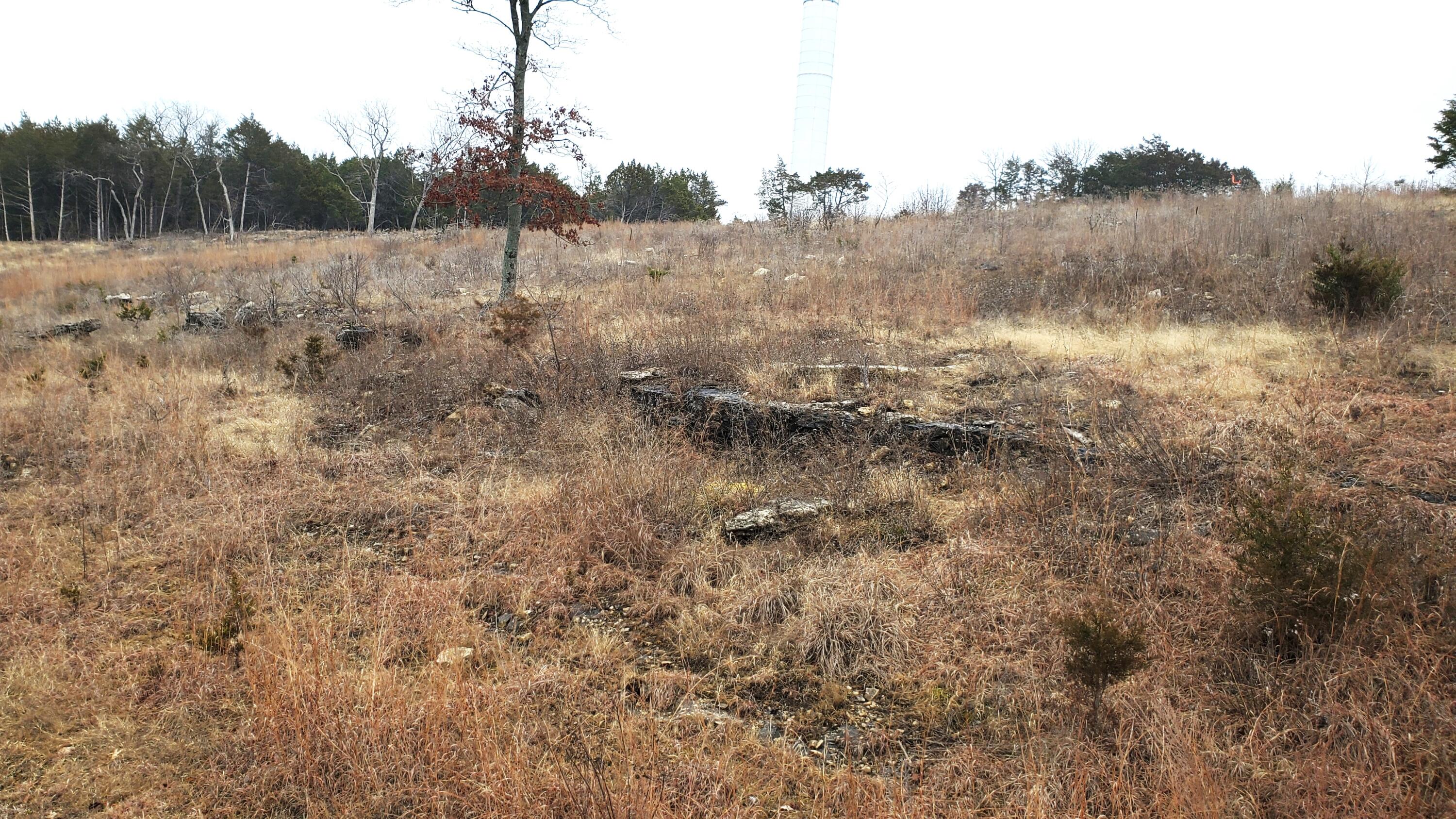 000 Lot 251 Silver Sunset Lane Property Photo 2