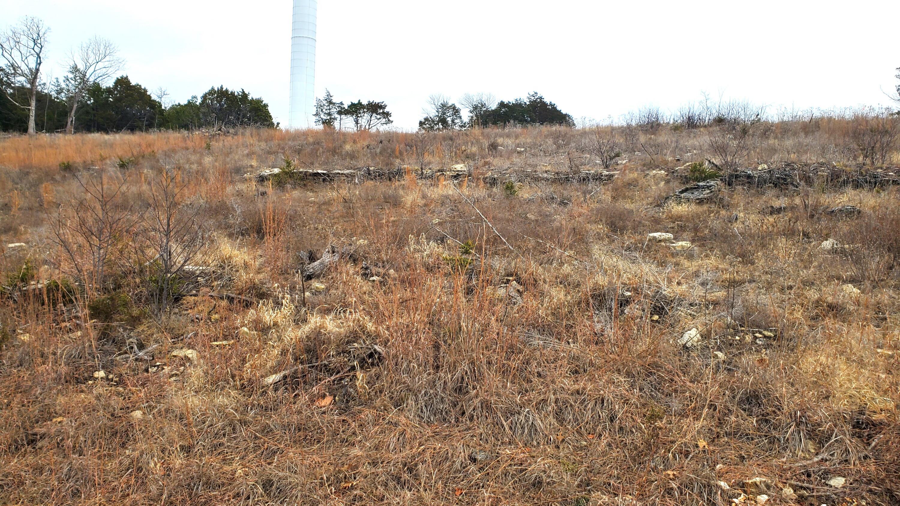 000 Lot 252 Silver Sunset Lane Property Photo 1