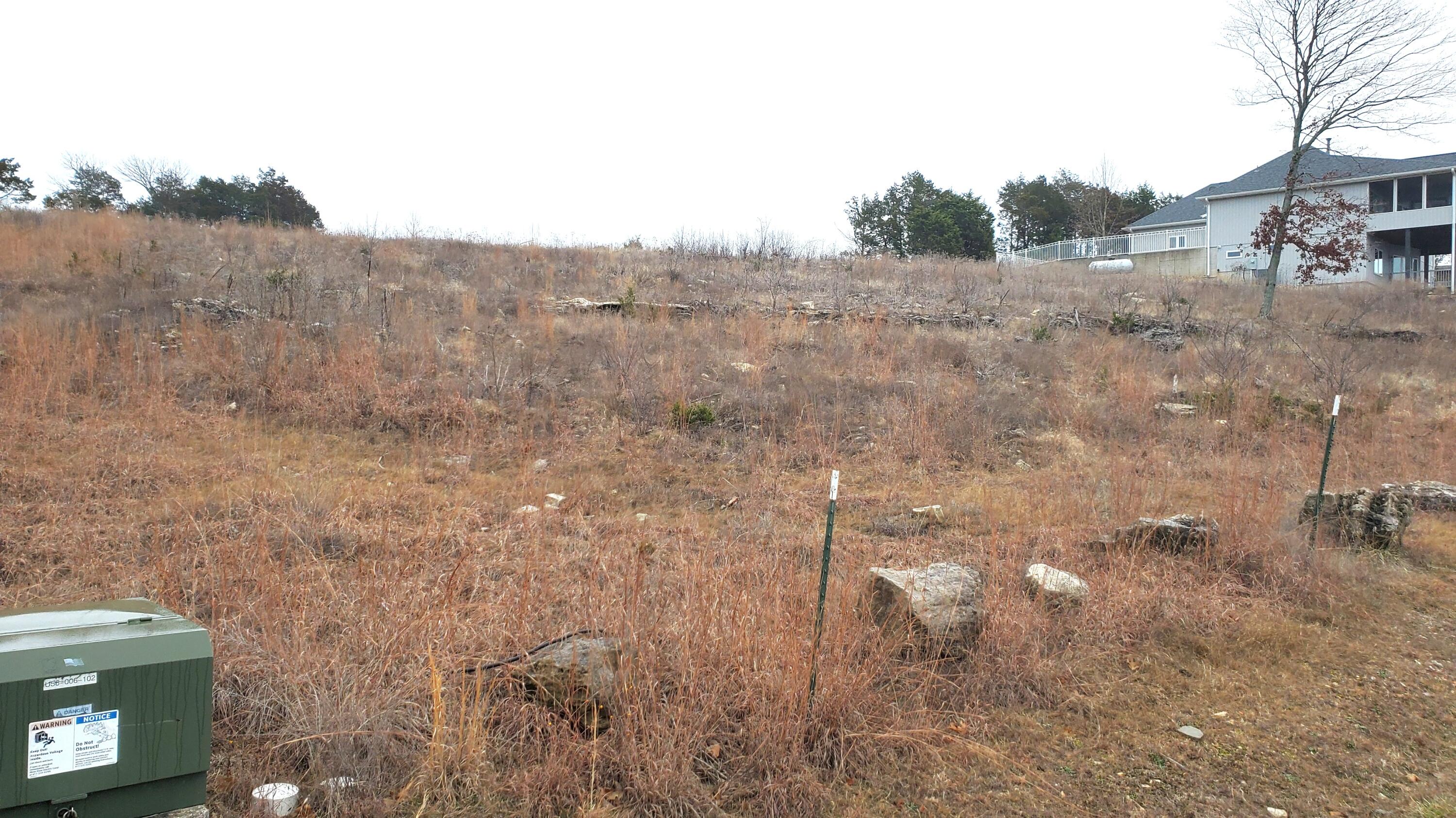 000 Lot 252 Silver Sunset Lane Property Photo 2