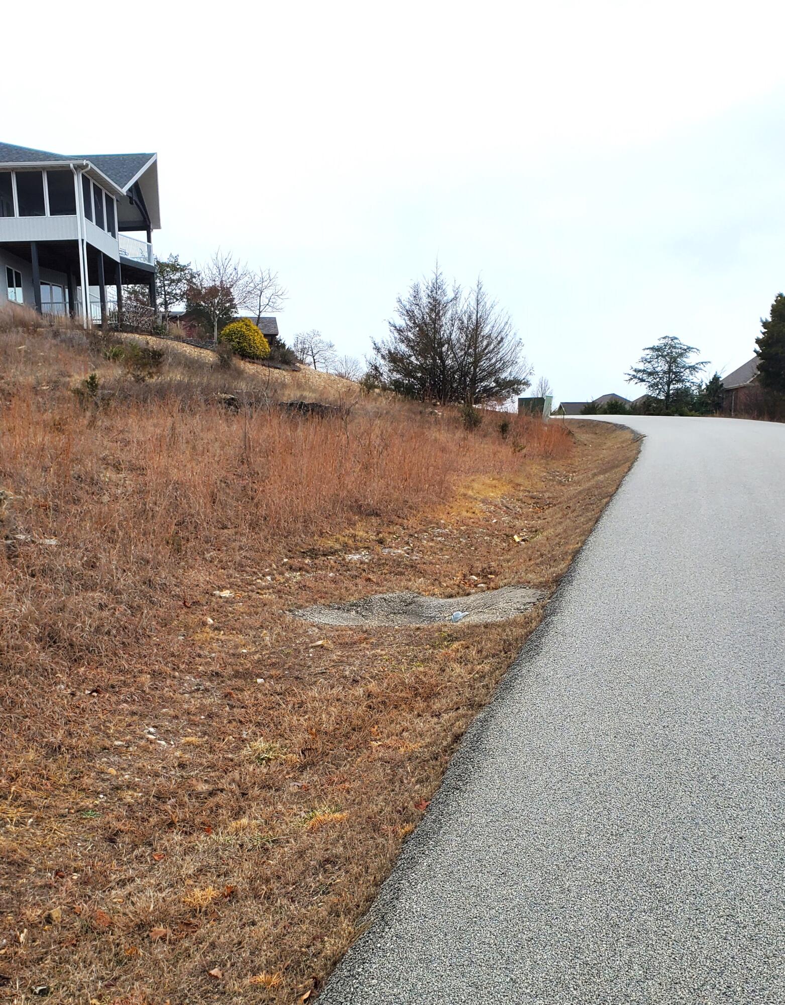 000 Lot 252 Silver Sunset Lane Property Photo 3