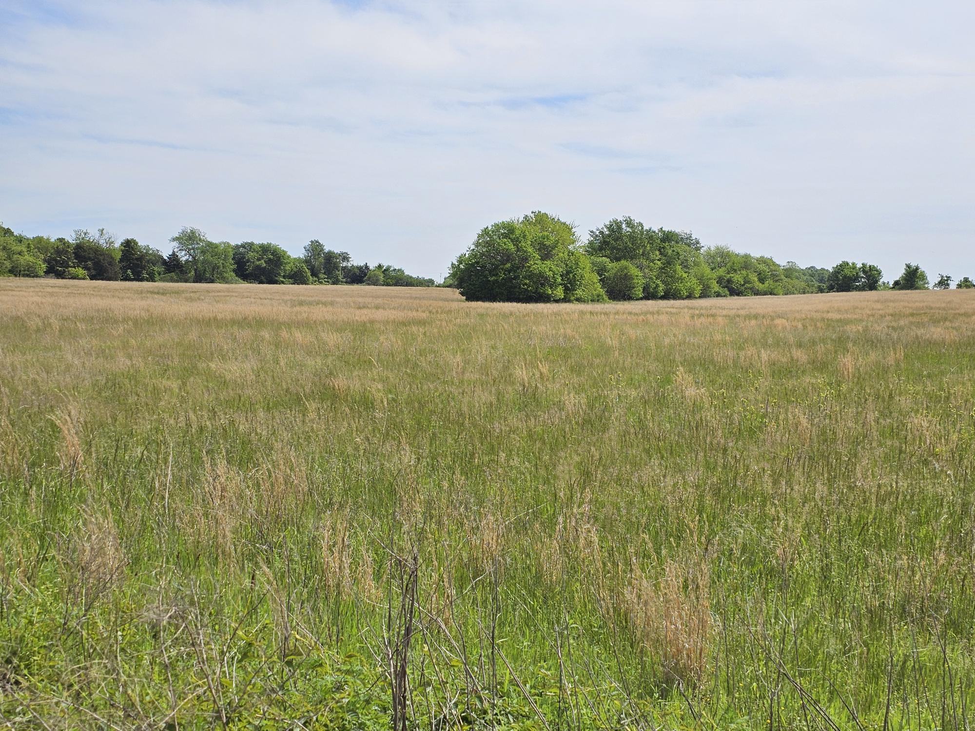 37 Acre Hwy Dd & Crane Drive Highway Property Photo 1