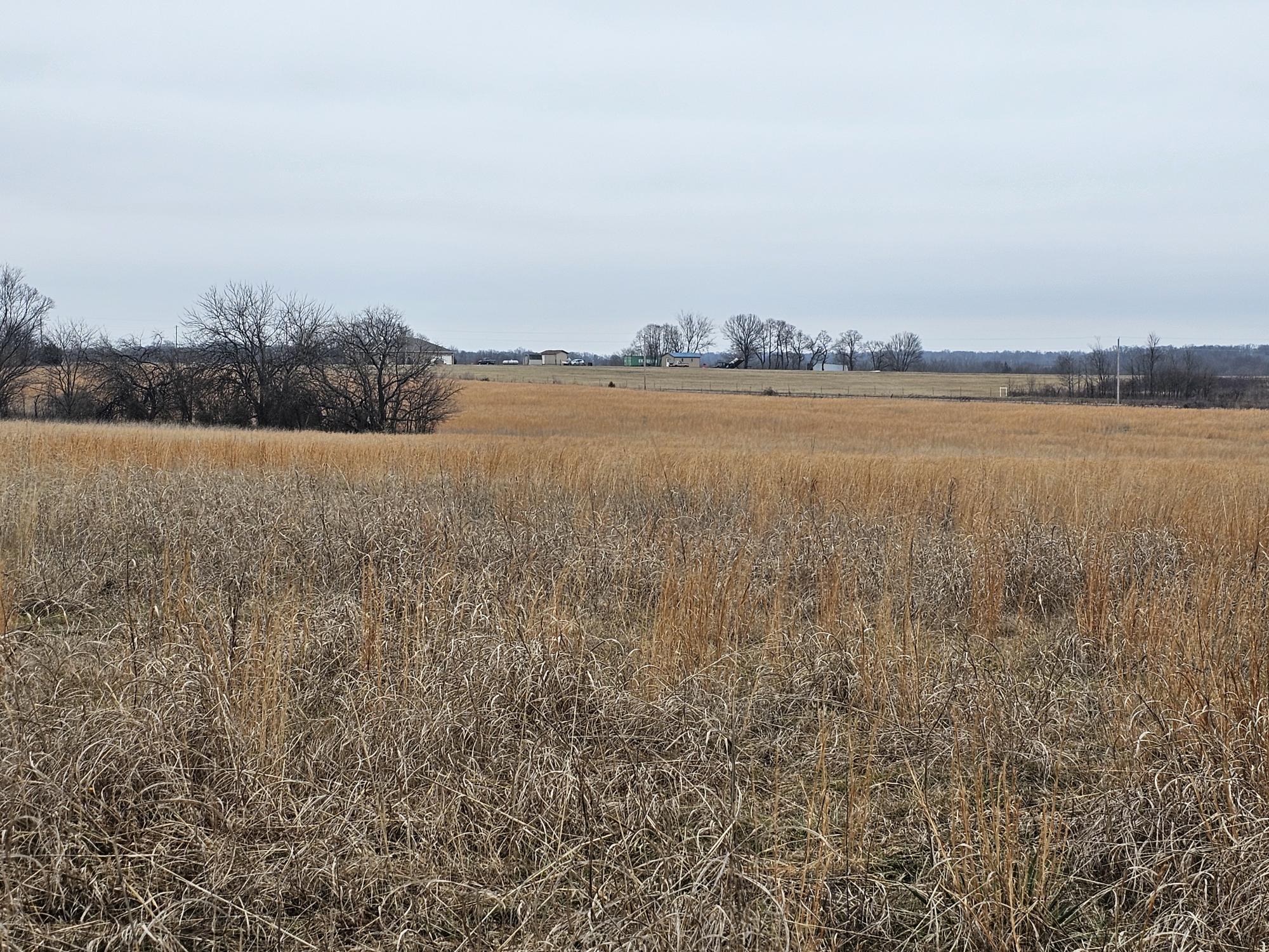 37 Acre Hwy Dd & Crane Drive Highway Property Photo 3