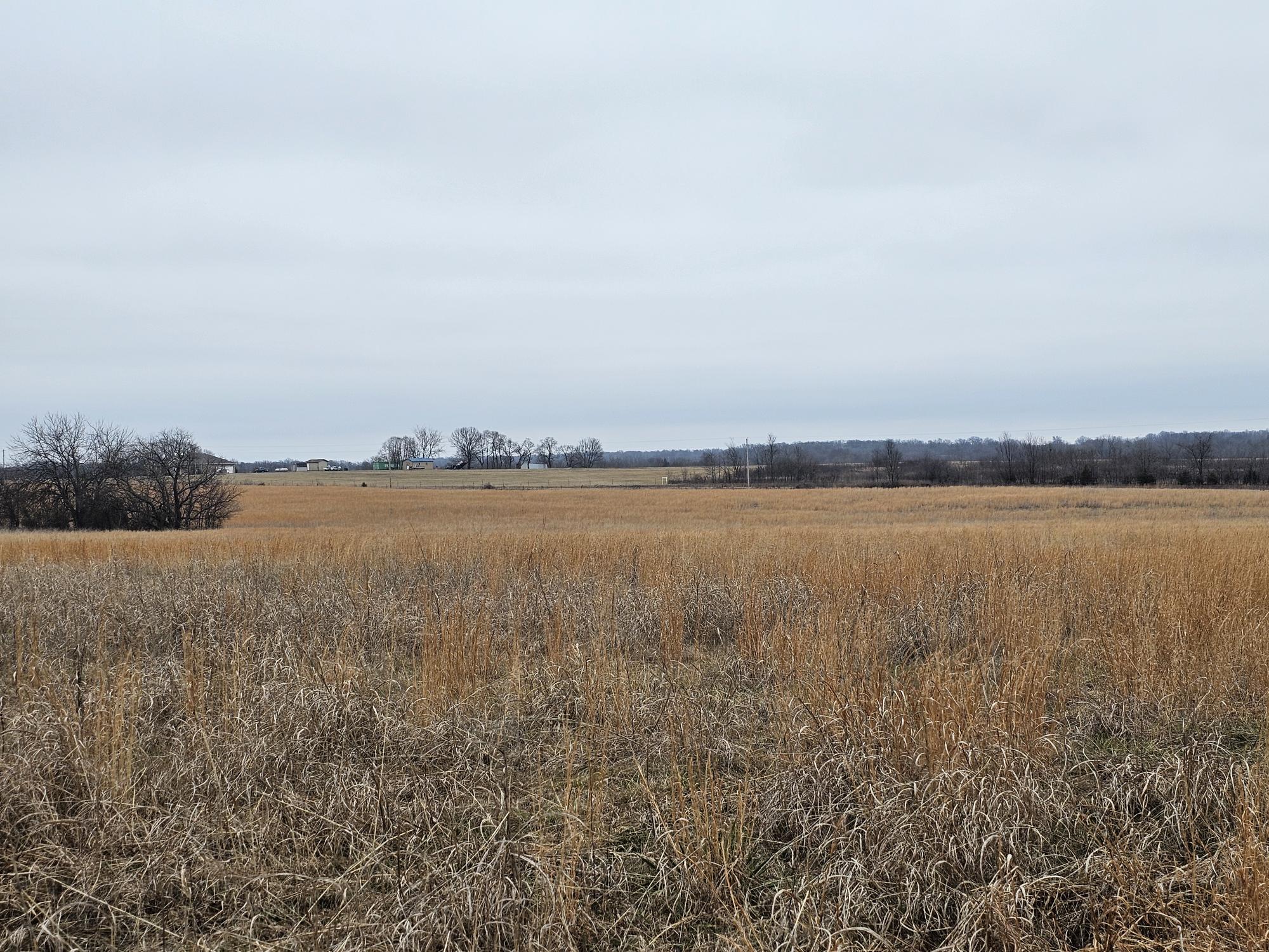 37 Acre Hwy Dd & Crane Drive Highway Property Photo 4