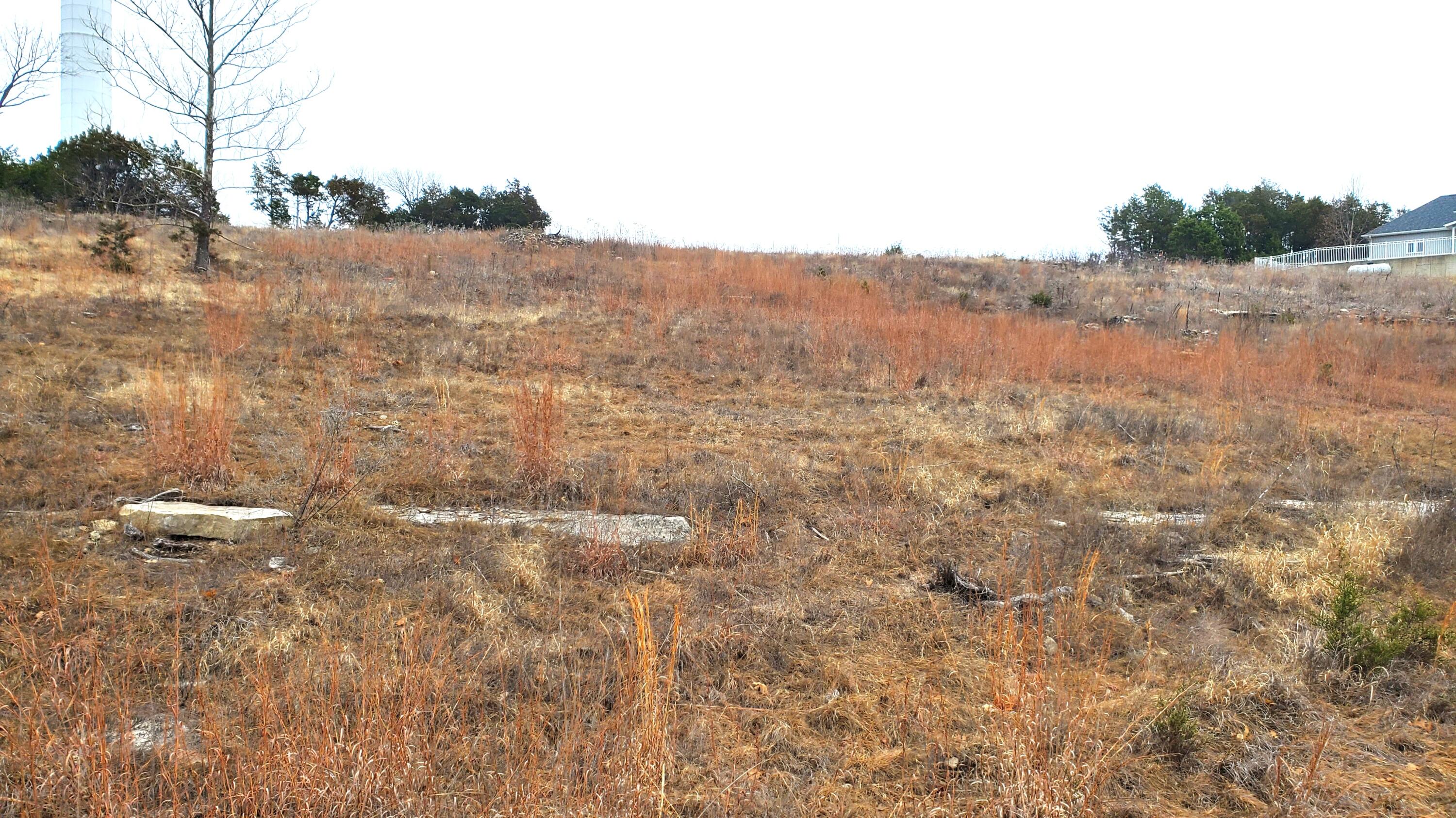 000 Lot 253 Silver Sunset Lane Property Photo 1