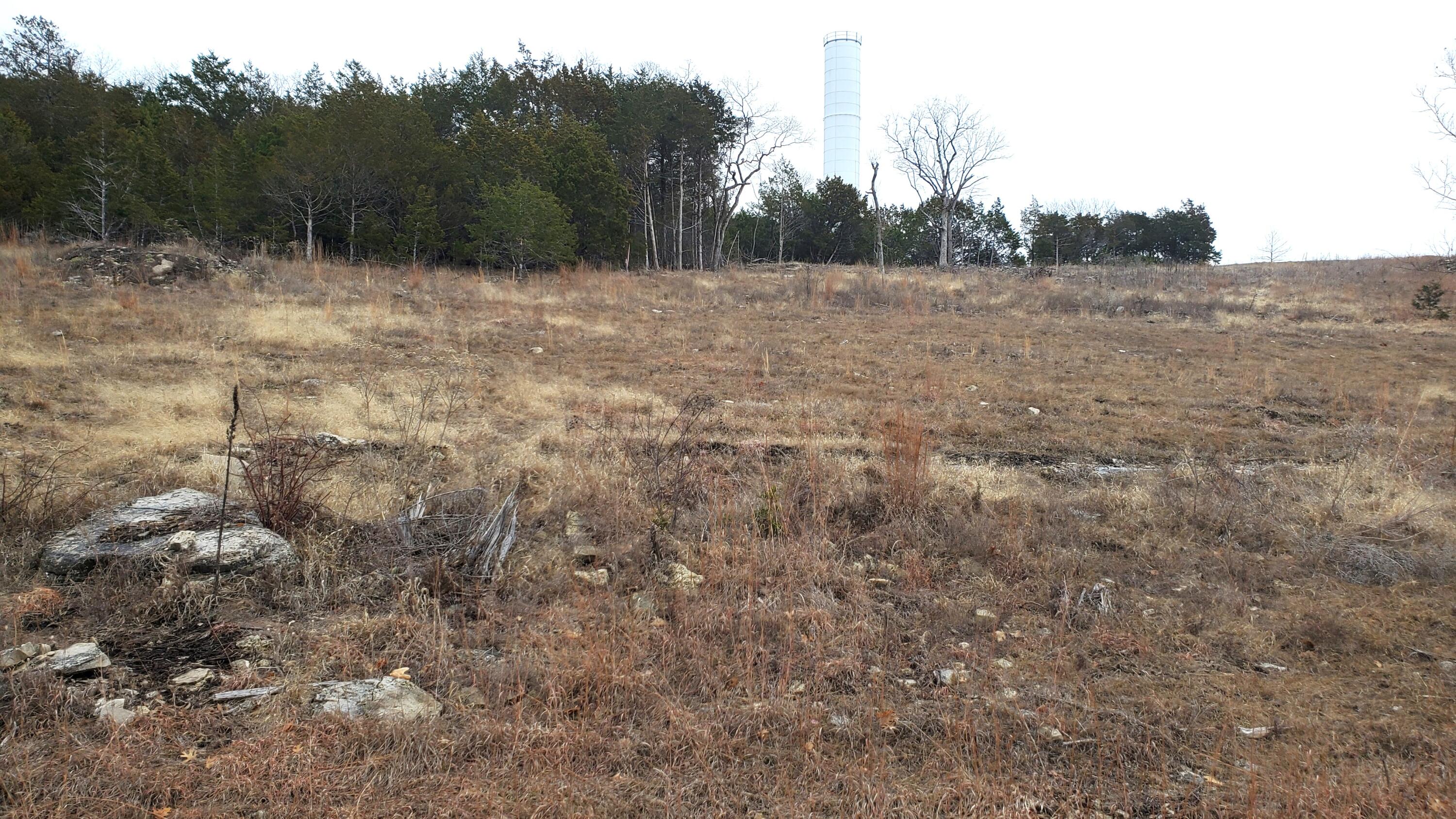 000 Lot 254 Silver Sunset Lane Property Photo 1
