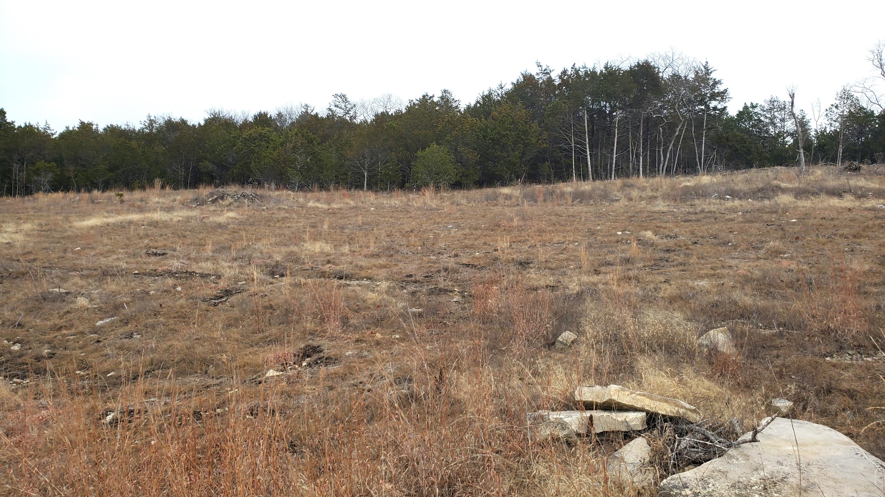 000 Lot 254 Silver Sunset Lane Property Photo 2