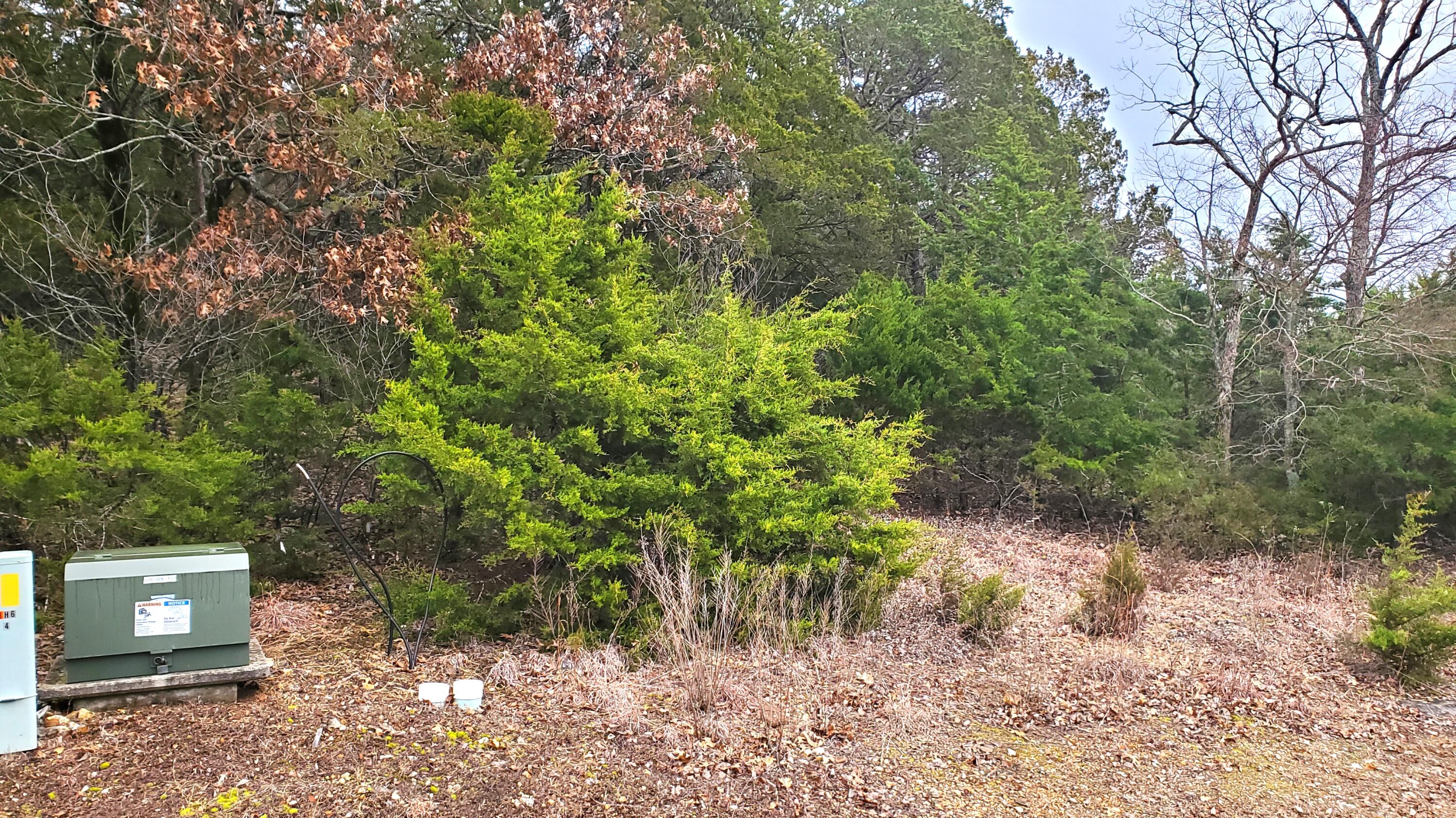 000 Lot 256 Silver Sunset Lane Property Photo 1