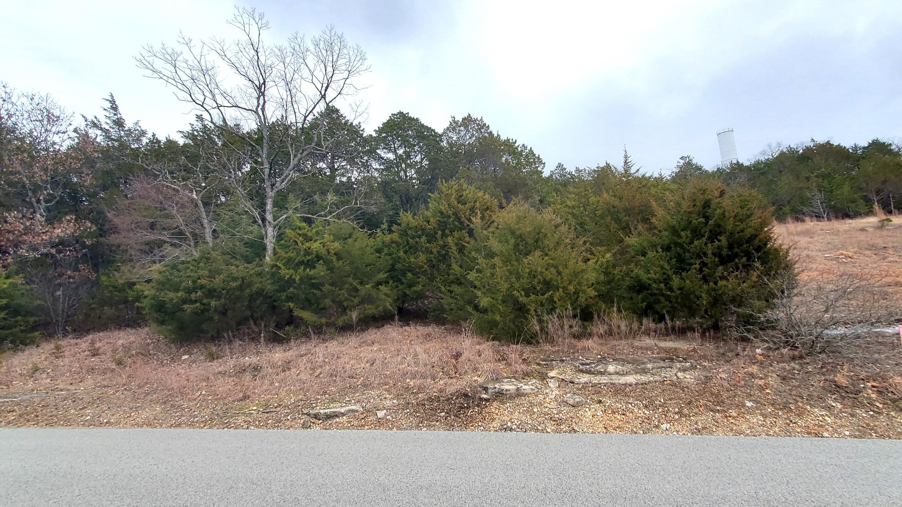 000 Lot 256 Silver Sunset Lane Property Photo 2