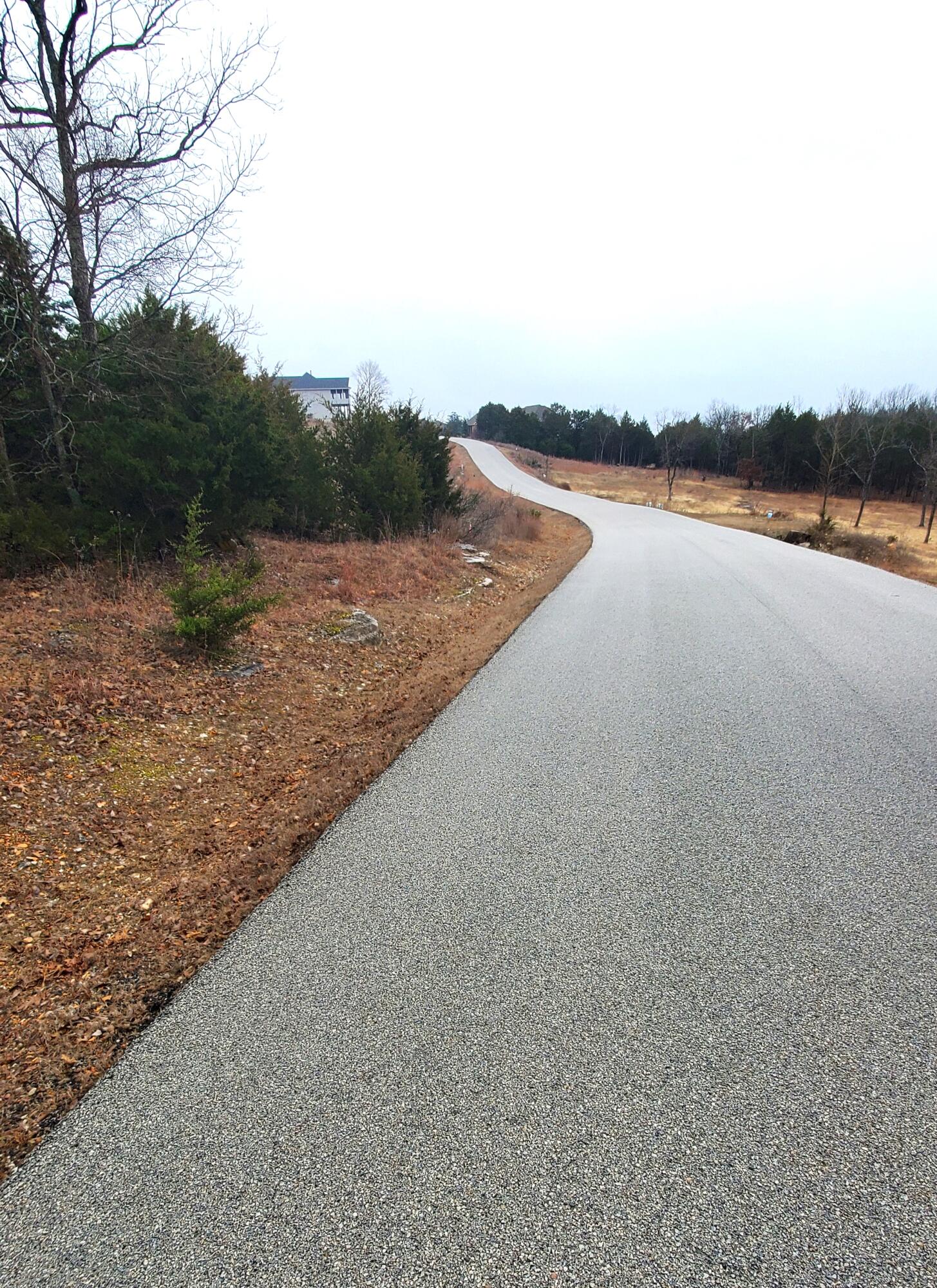 000 Lot 256 Silver Sunset Lane Property Photo 3