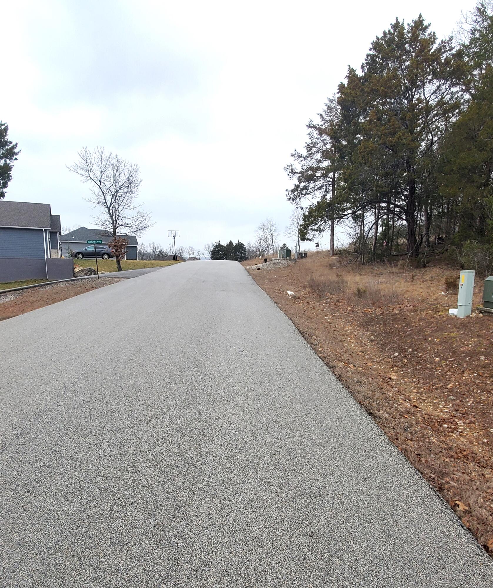 000 Lot 256 Silver Sunset Lane Property Photo 4
