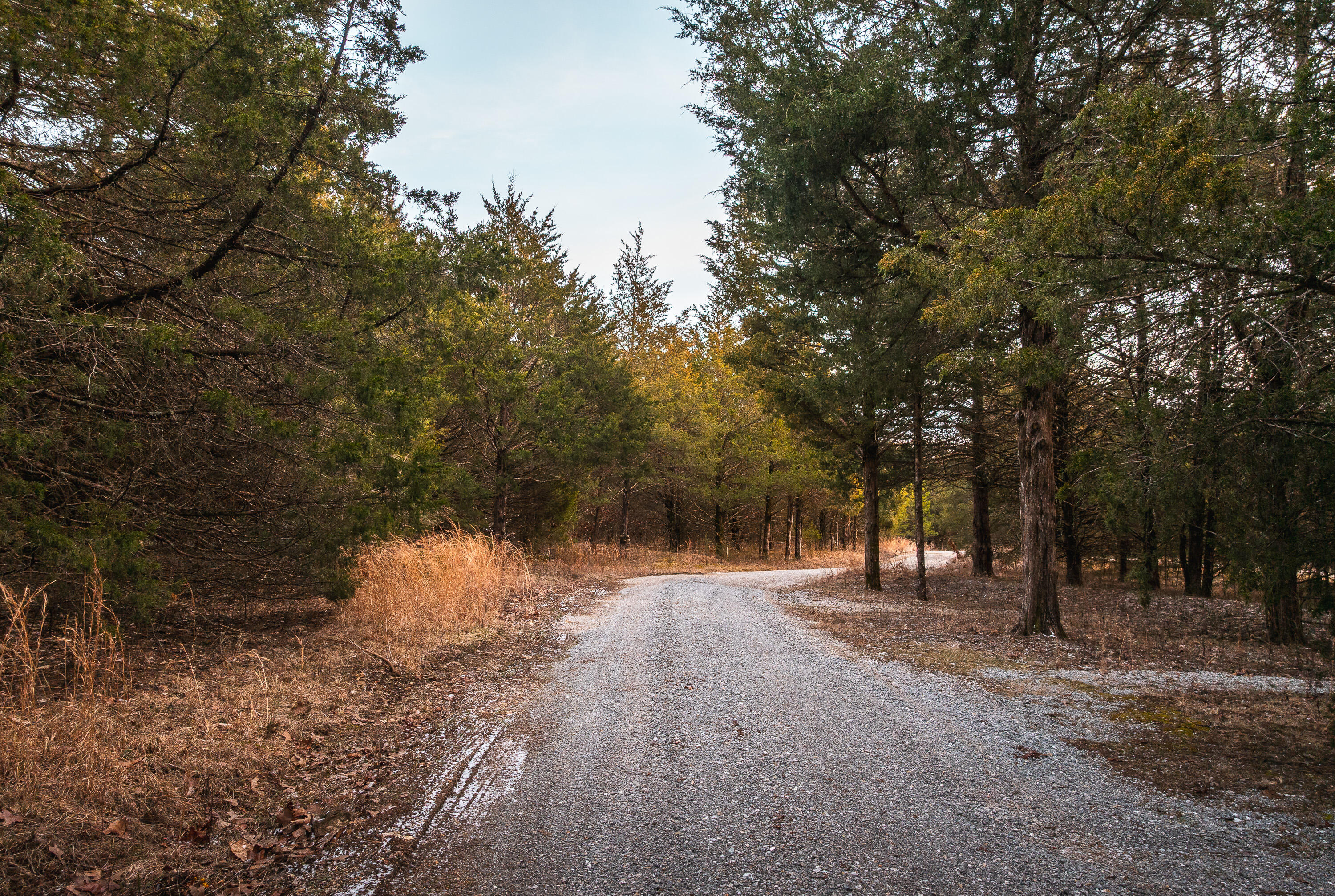 6097 South Highway 63 Property Photo 67