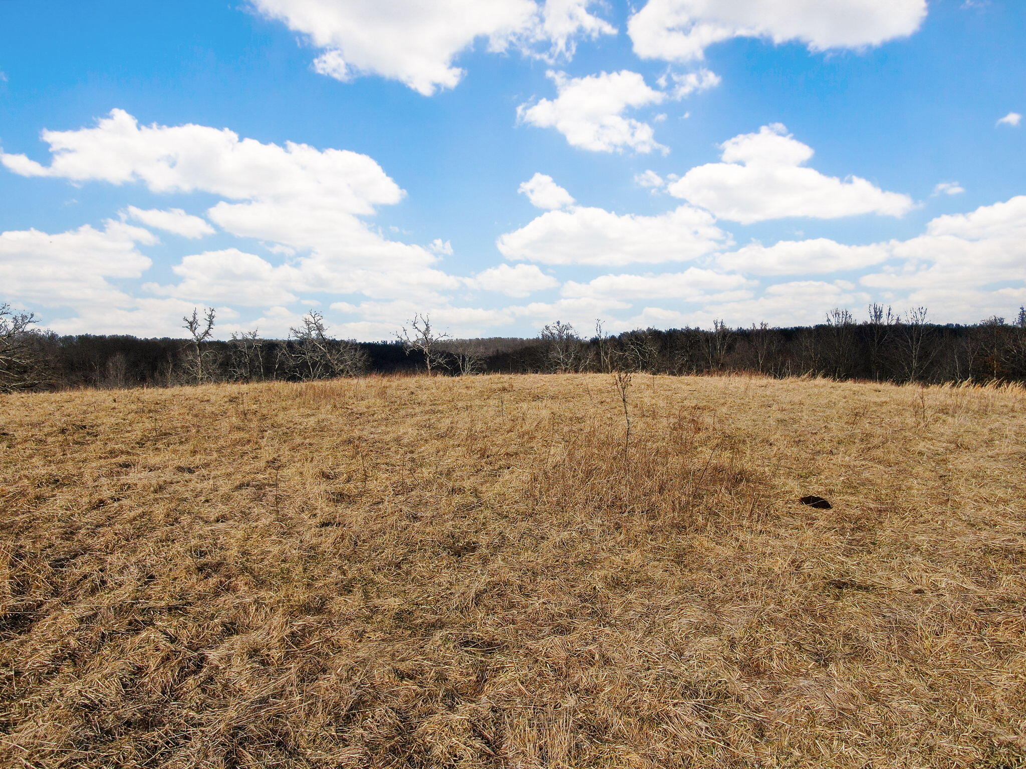 12428 State Highway Ak Property Photo 23