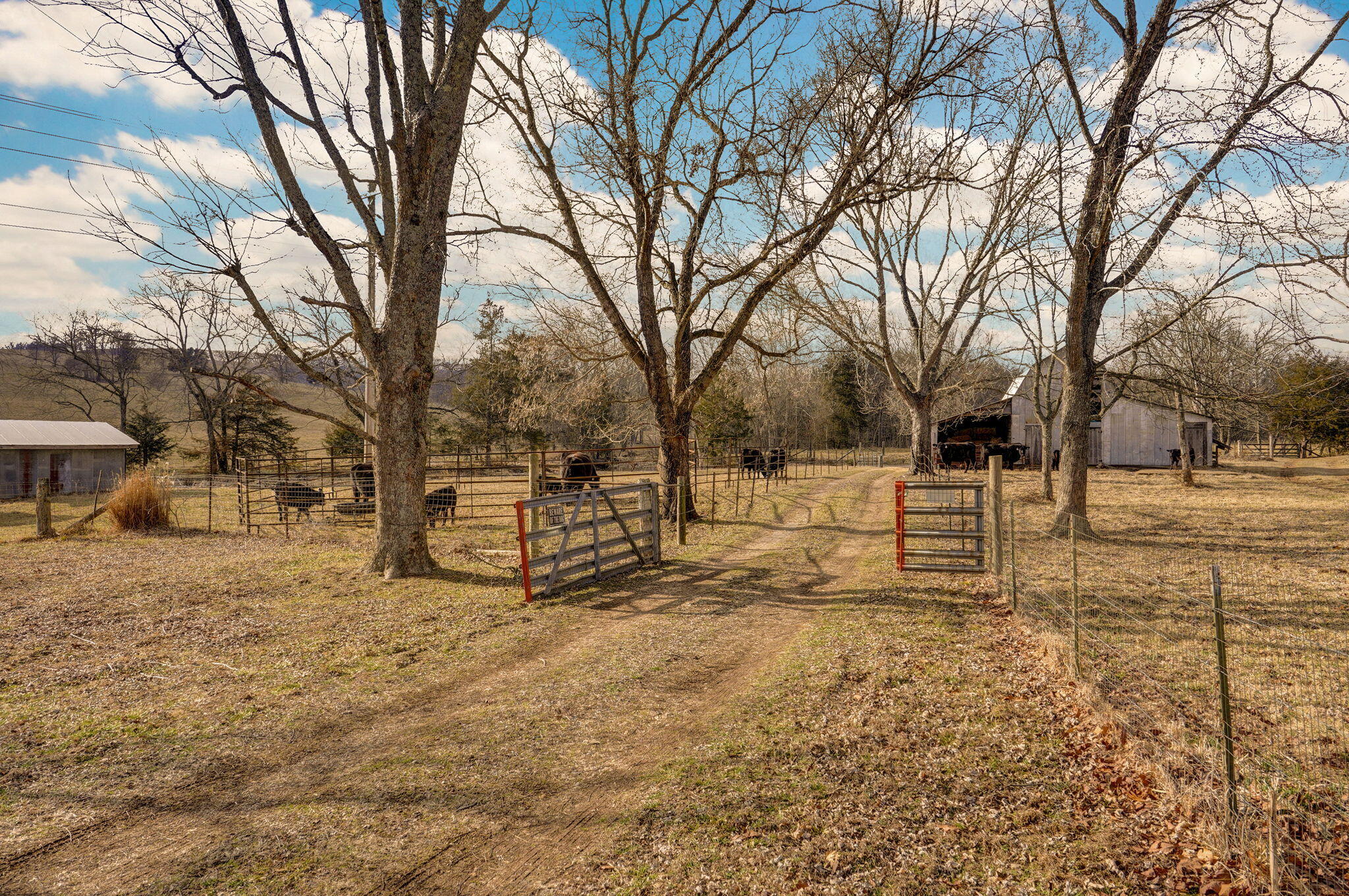 12428 State Highway Ak Property Photo 56