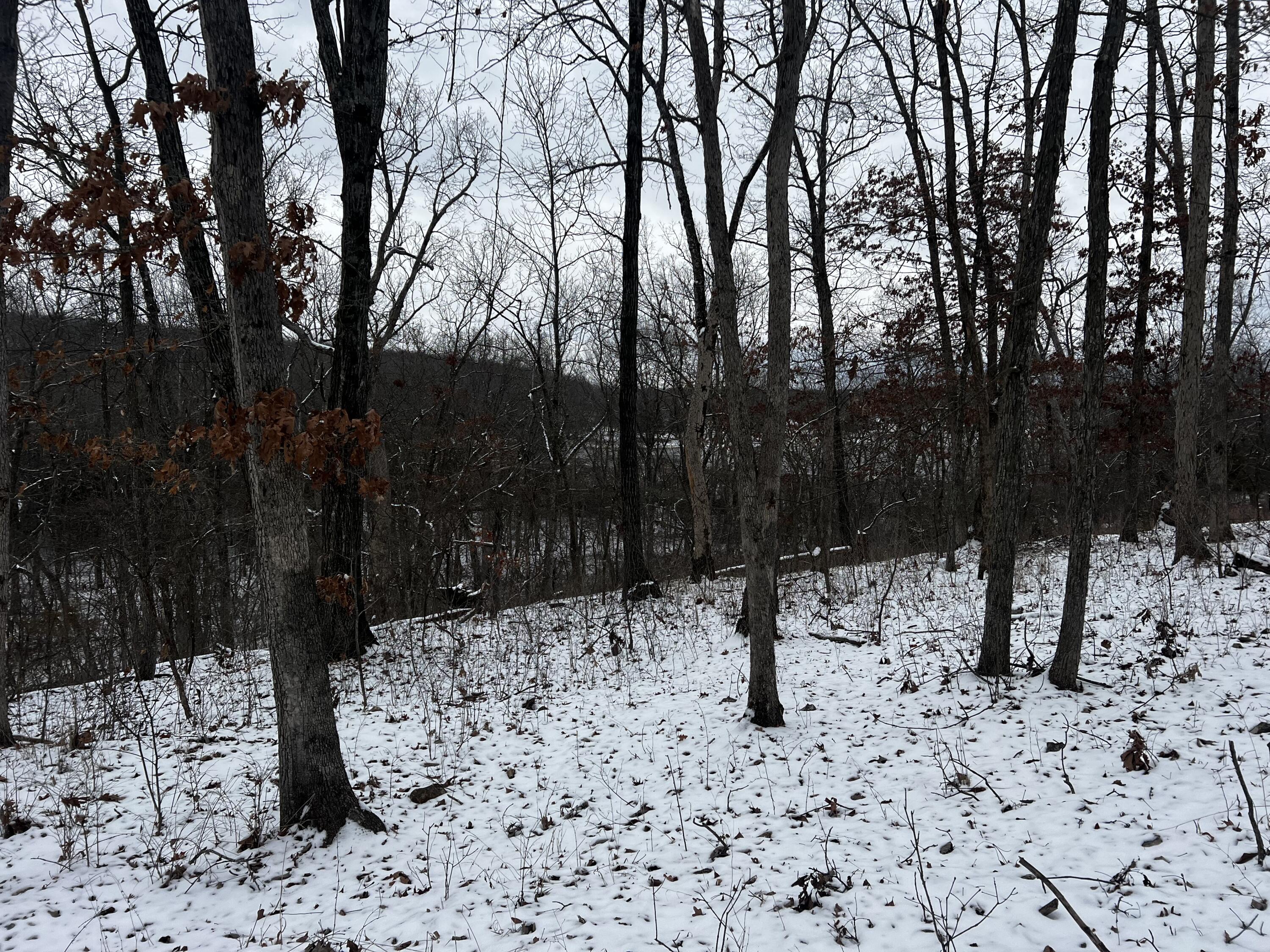 4180 South 82nd Road Property Photo 2