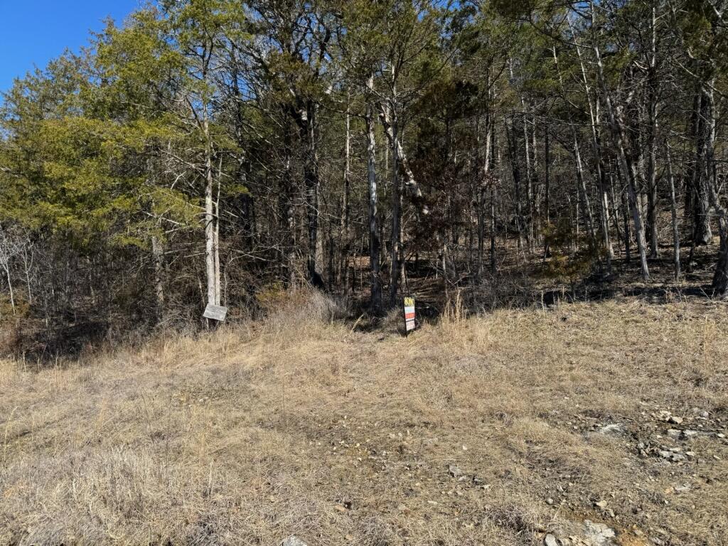 56 Ranch Road (lot 56) Property Photo 4