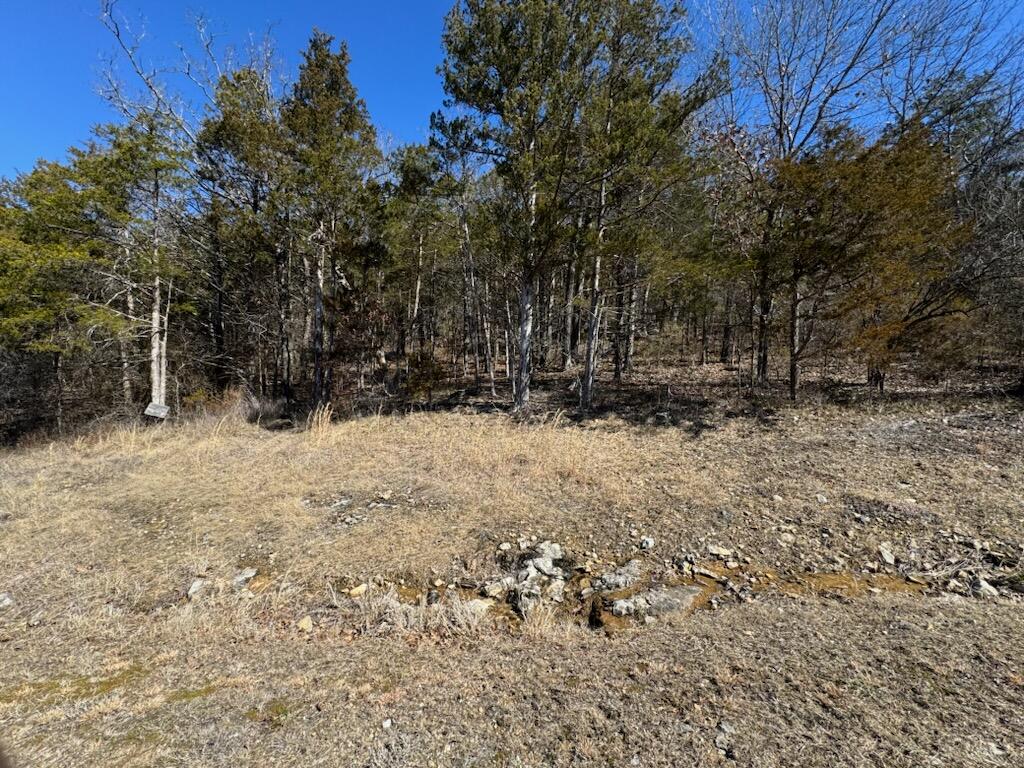 56 Ranch Road (lot 56) Property Photo 5
