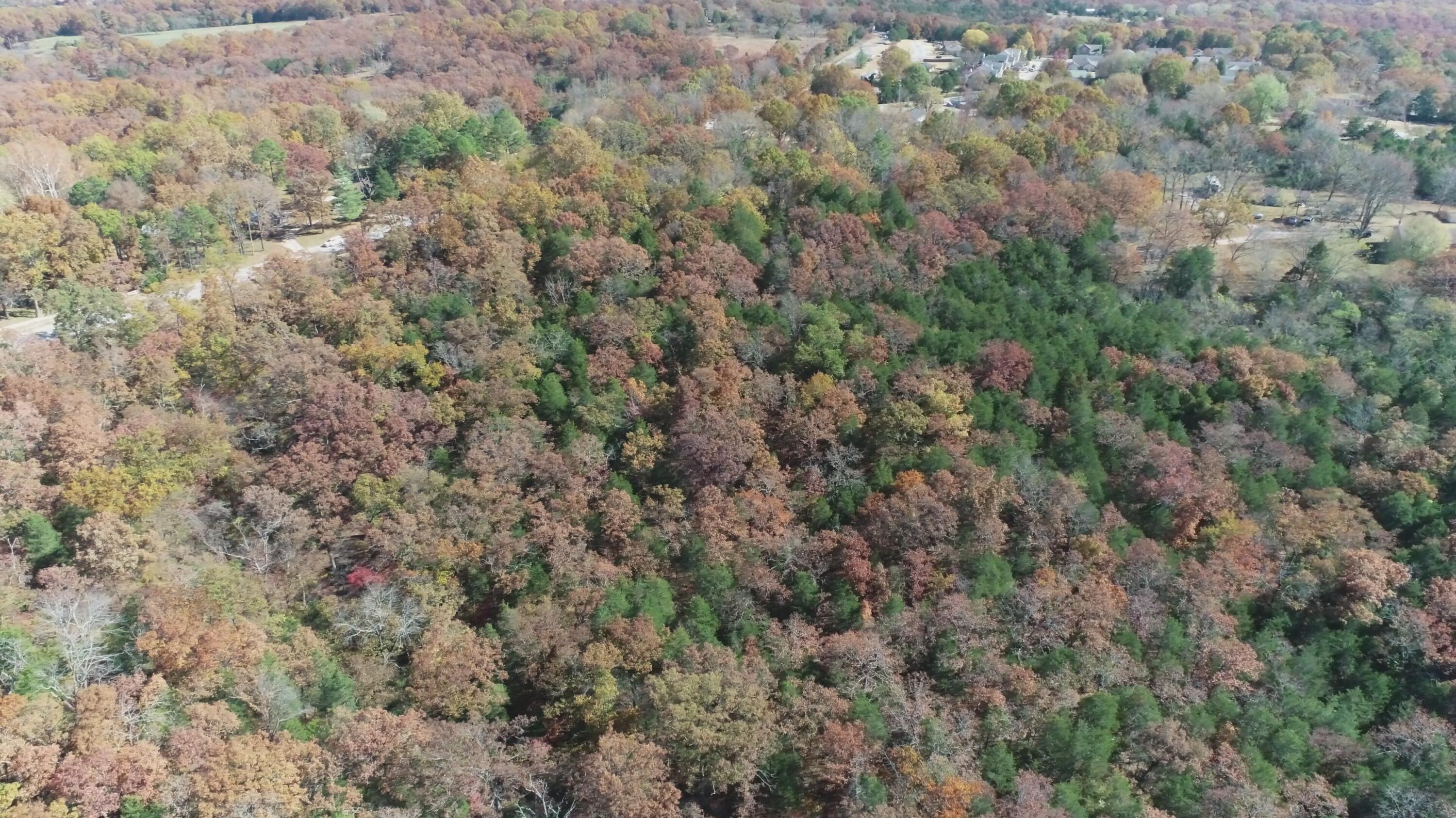 000 Highway 76 Property Photo 1