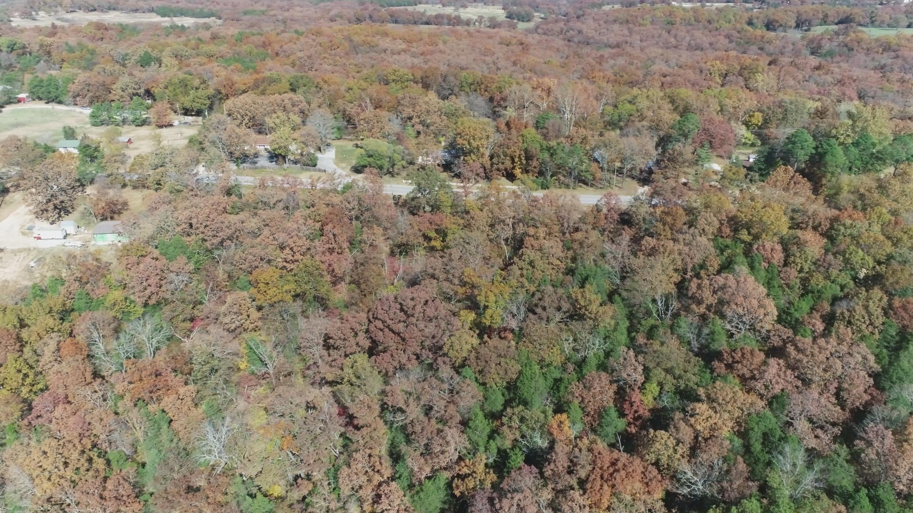 000 Highway 76 Property Photo 3