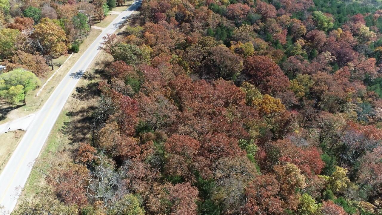 000 Highway 76 Property Photo 10