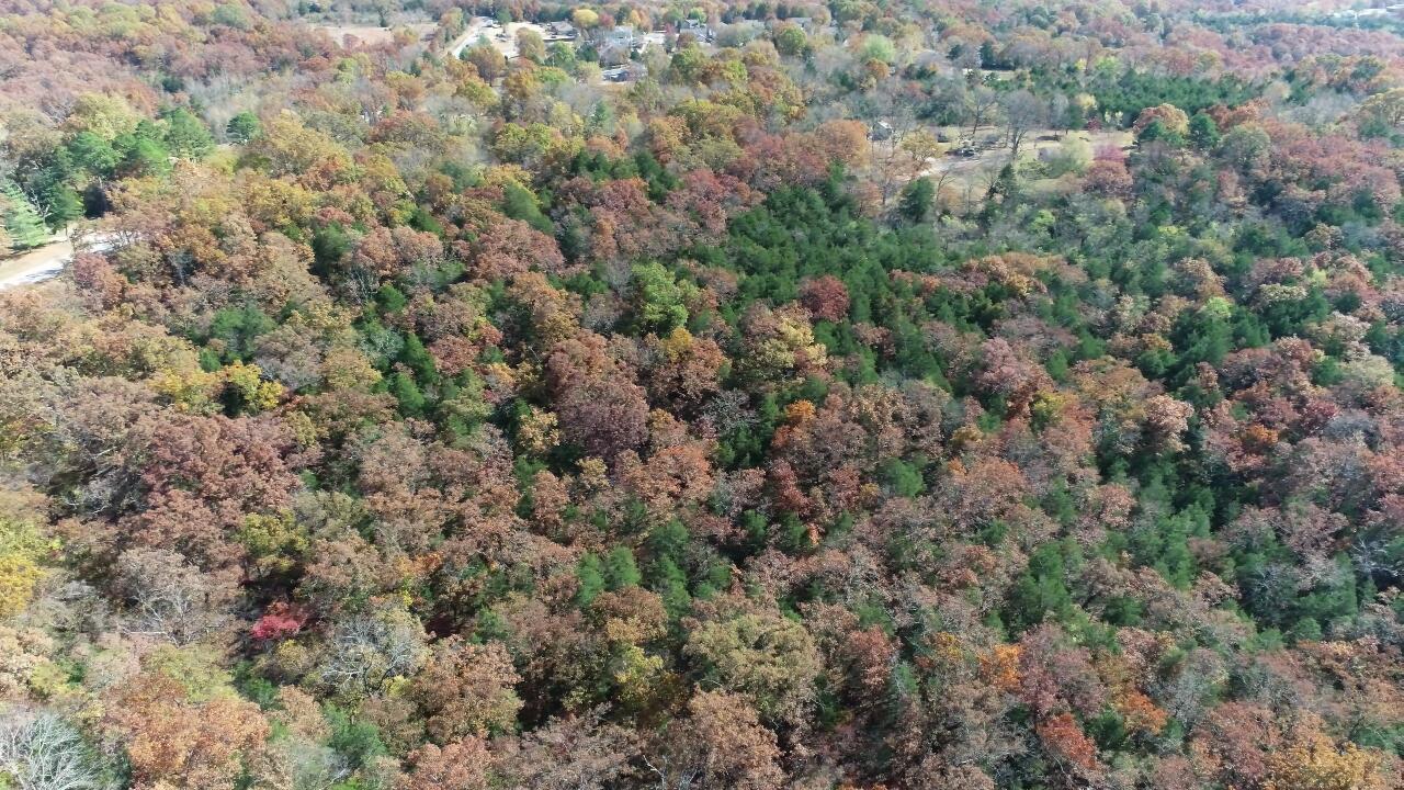 000 Highway 76 Property Photo 11