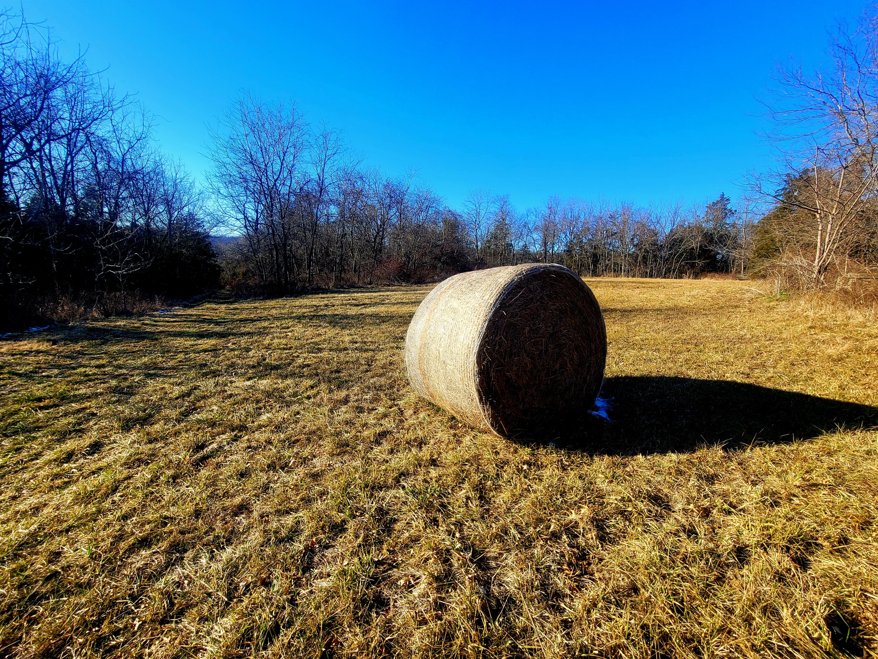 000 State Highway Kk Property Photo 3