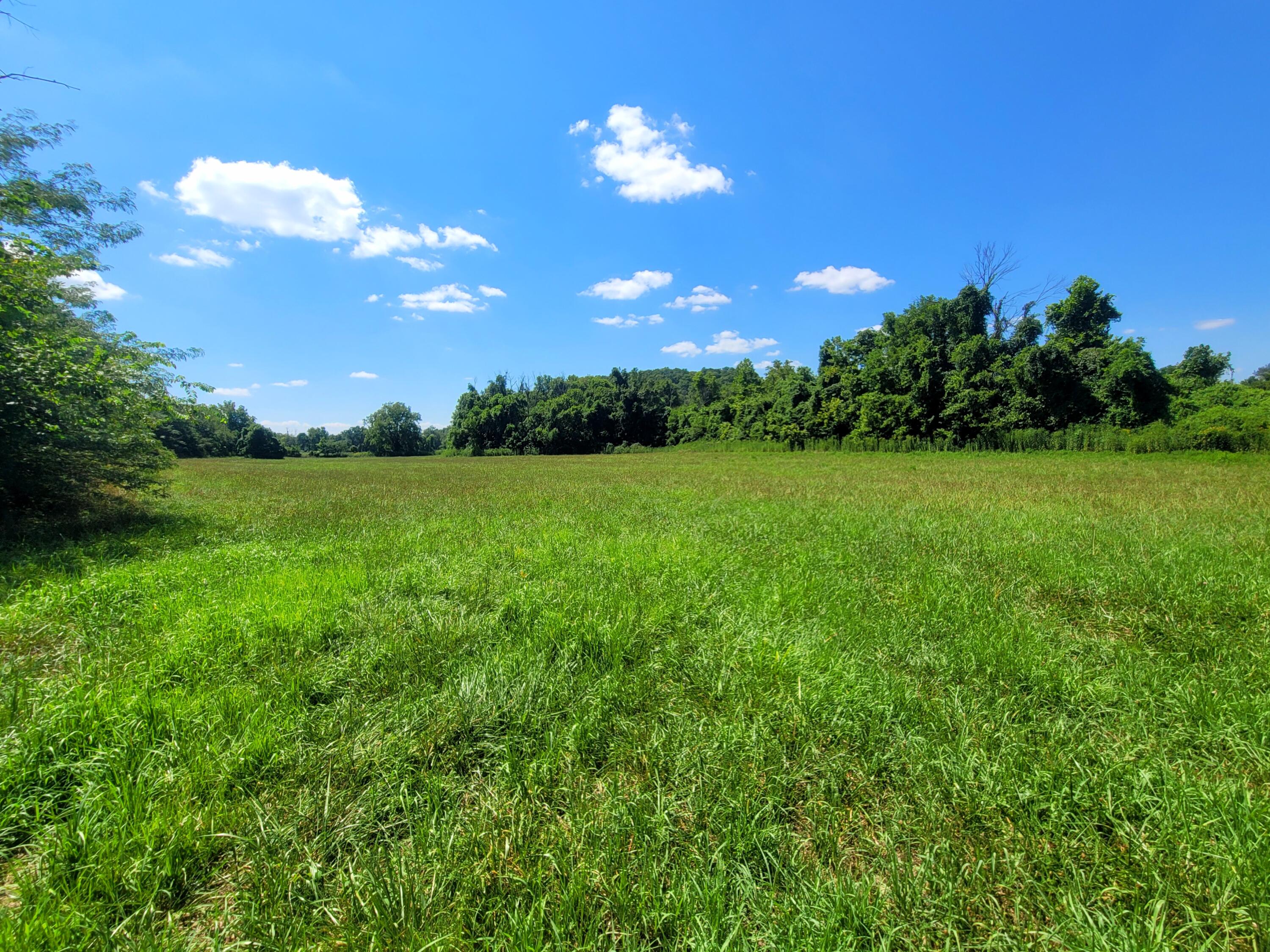 000 State Highway Kk Property Photo 11