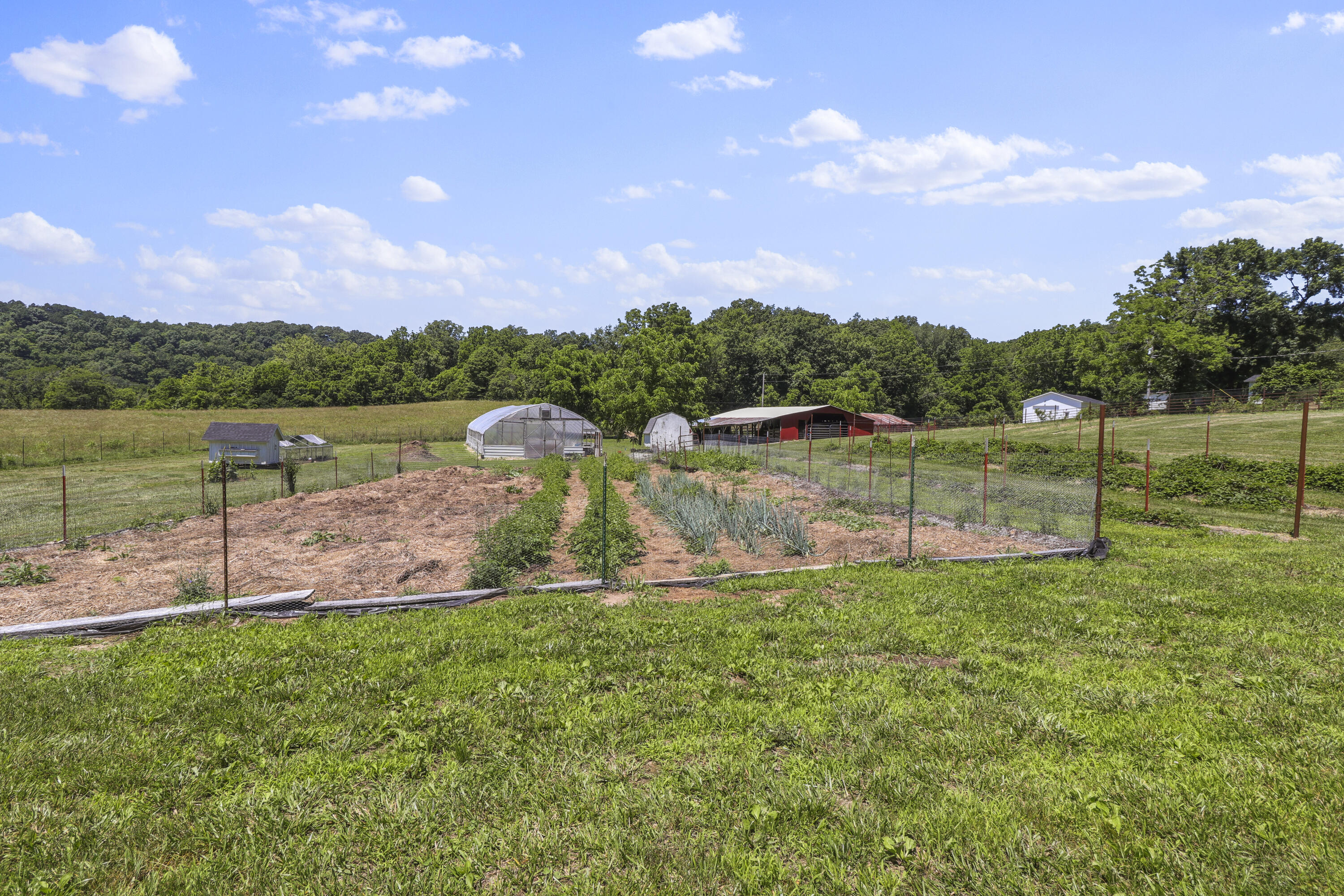 38205 County Road Ee-270 Property Photo 6