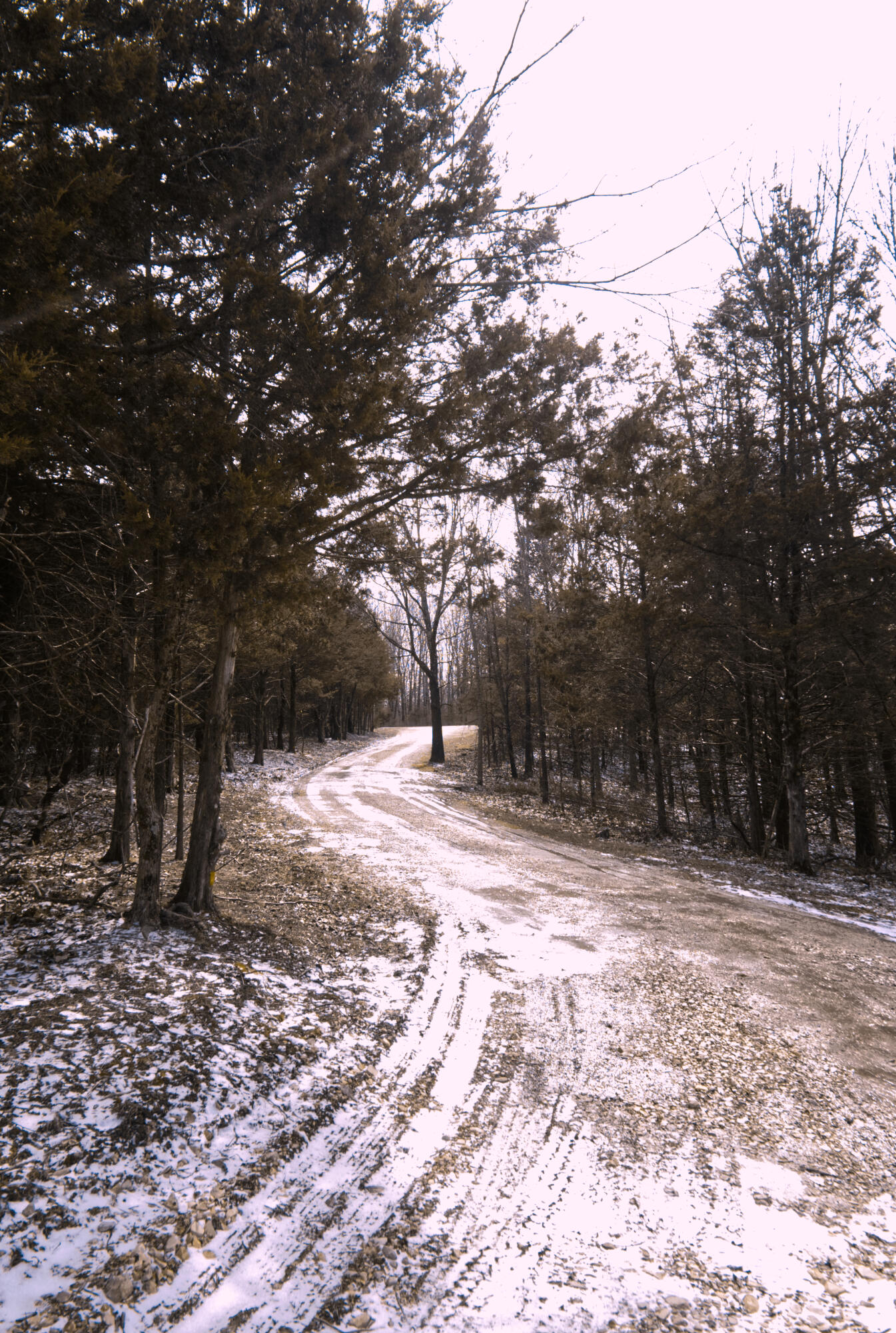 1089 Switchgrass Road Property Photo 41