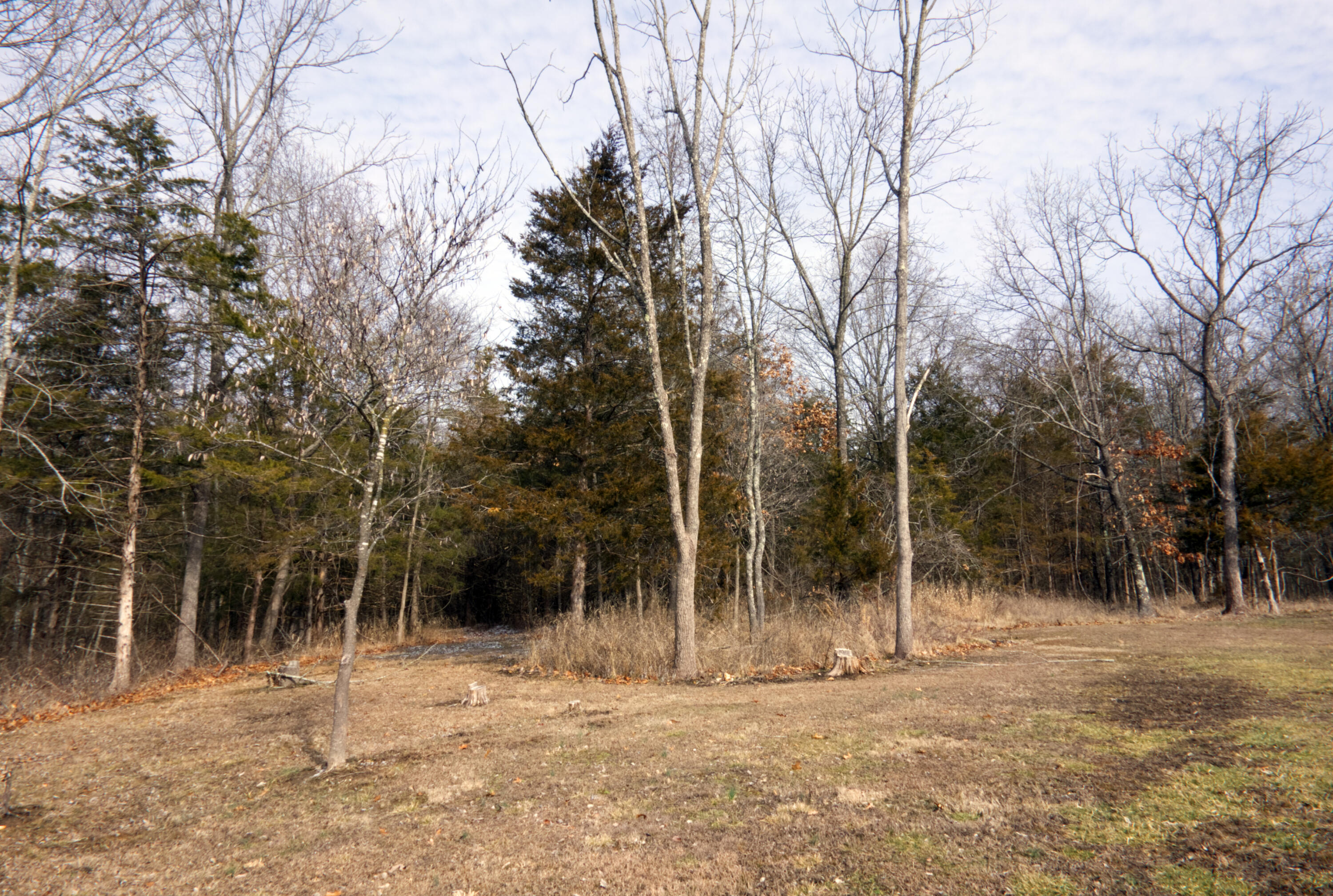 1089 Switchgrass Road Property Photo 43