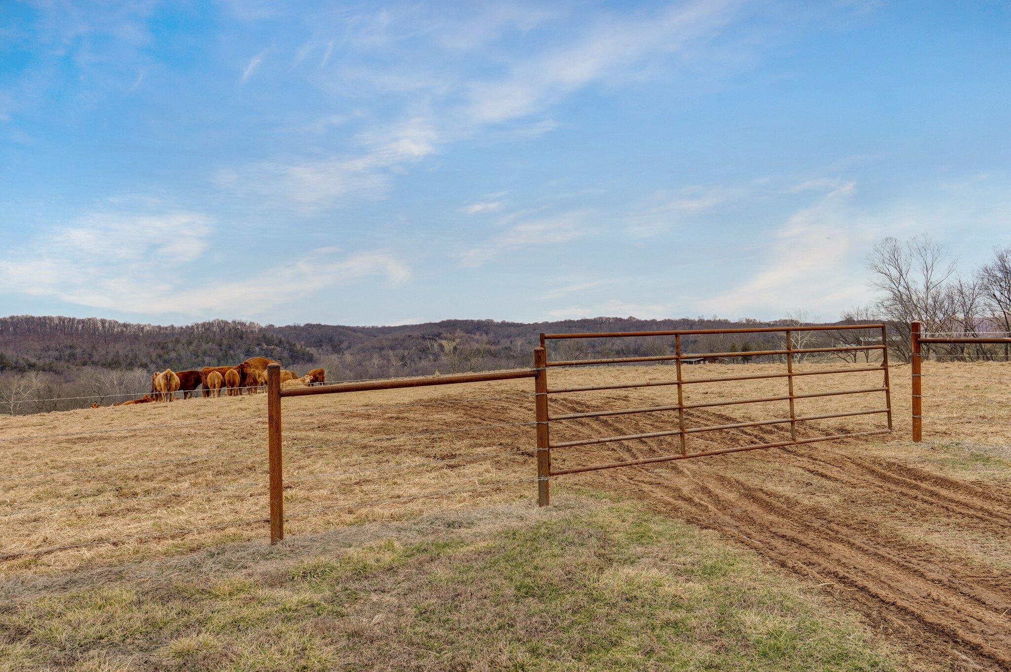 3030 Horsecreek Road Property Photo 44