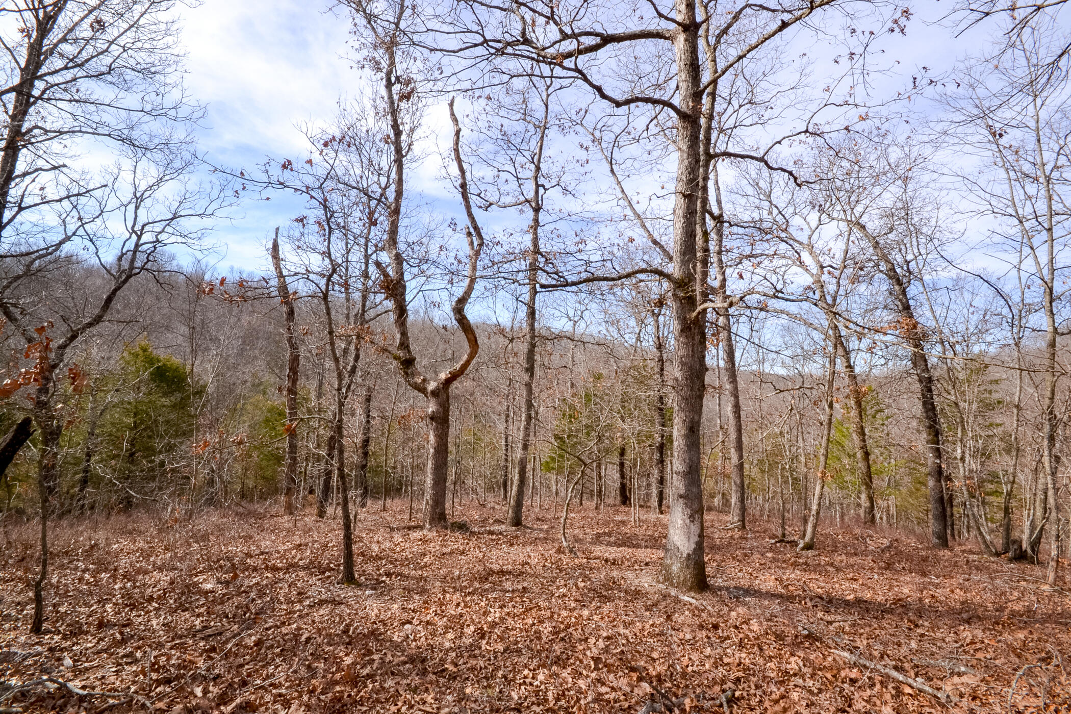 581 Meador Road Property Photo 34