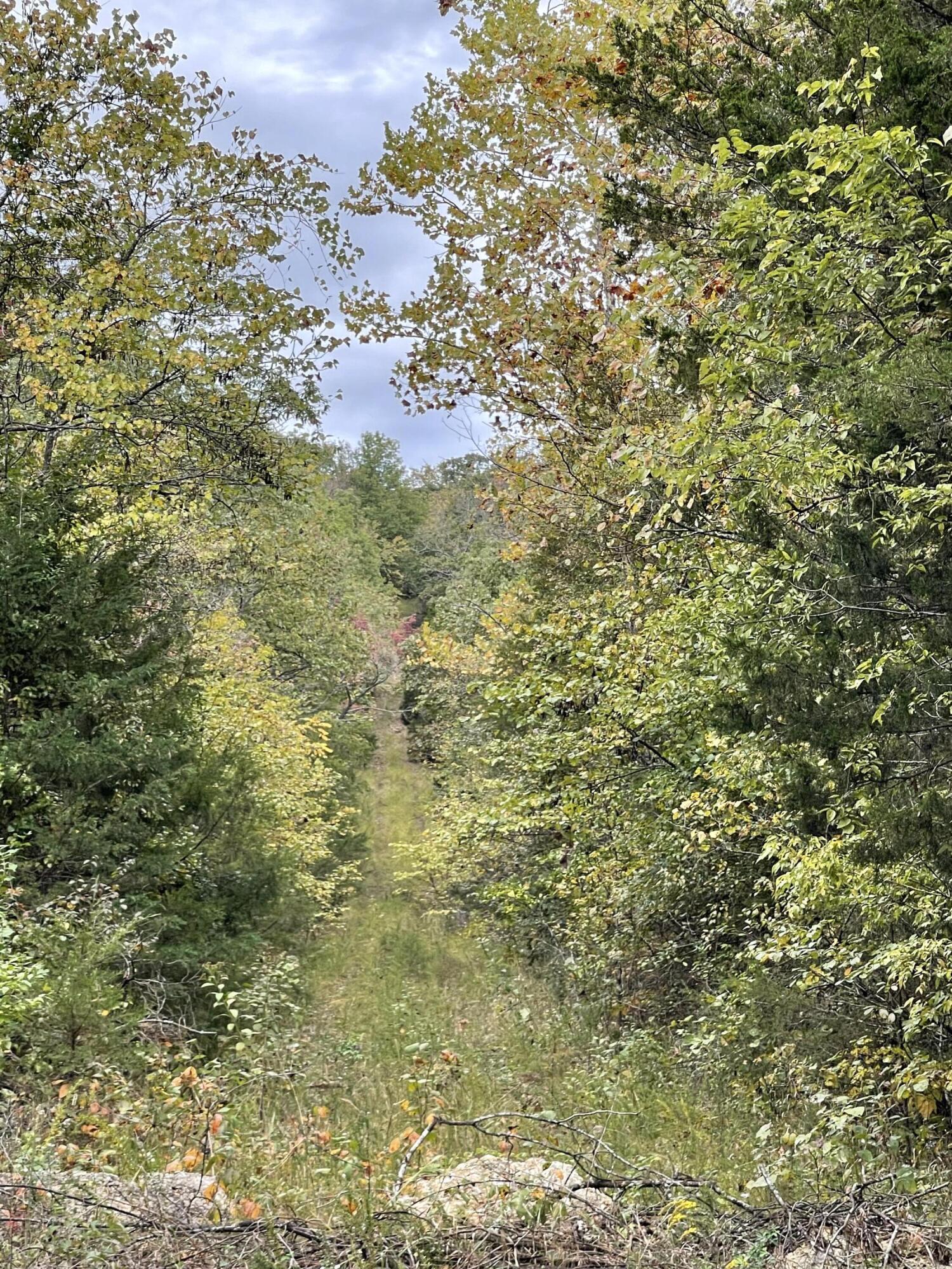 2896 State Hwy Yy Property Photo 4
