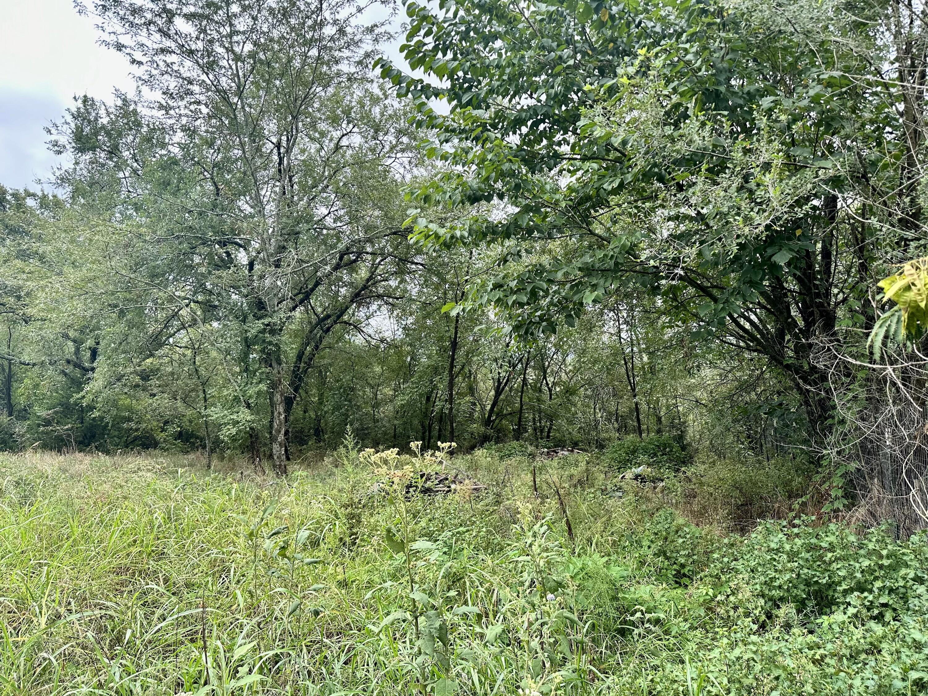 2896 State Hwy Yy Property Photo 5