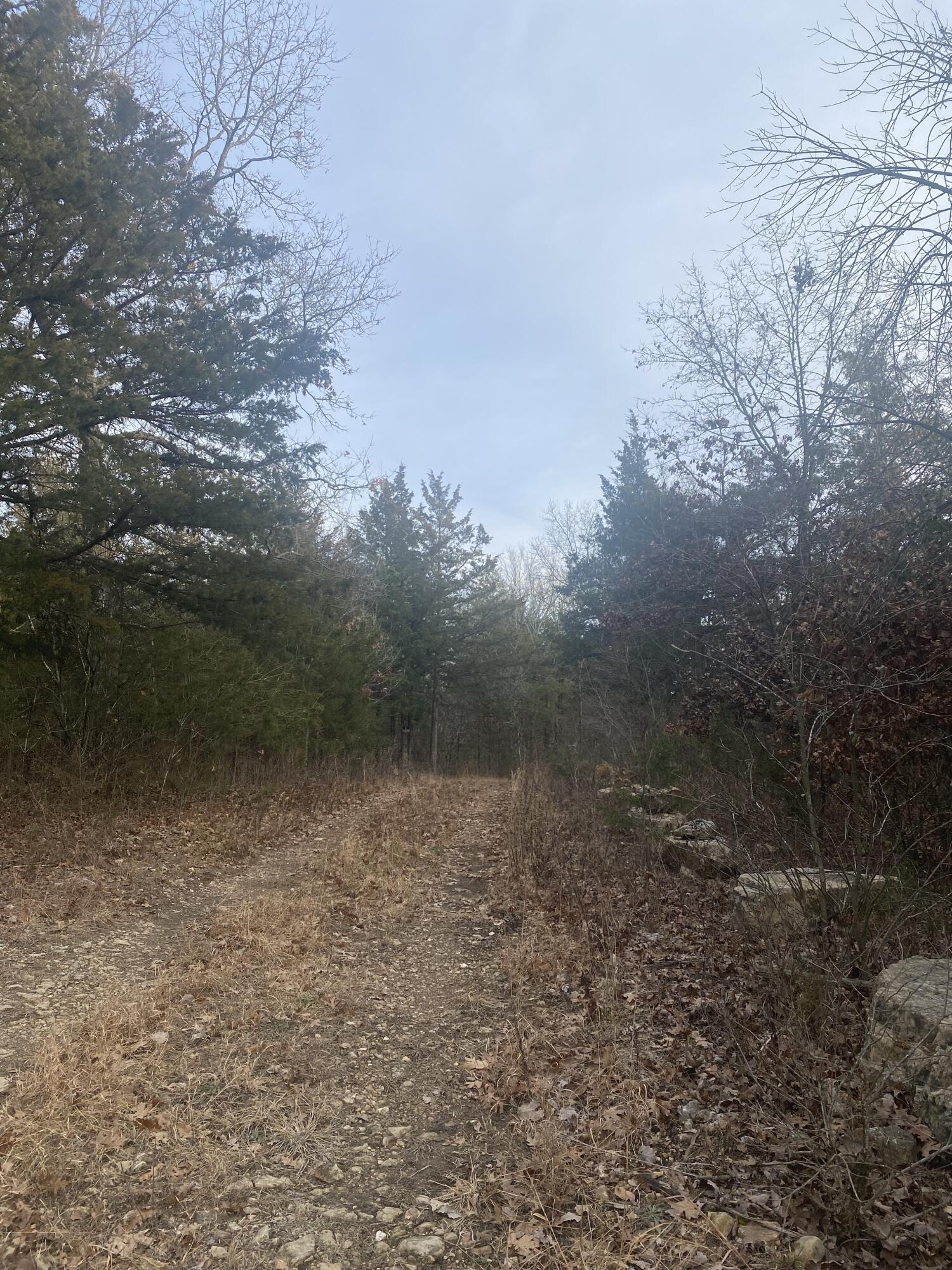 3478 South 216th Road Property Photo 8