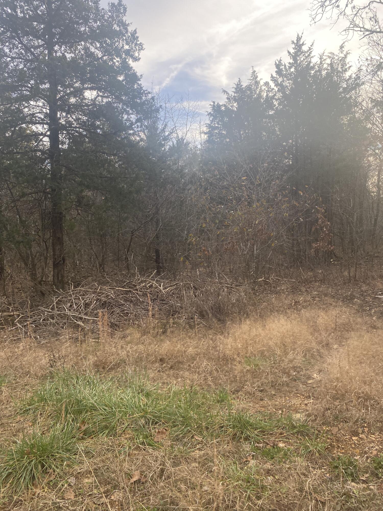 3478 South 216th Road Property Photo 11