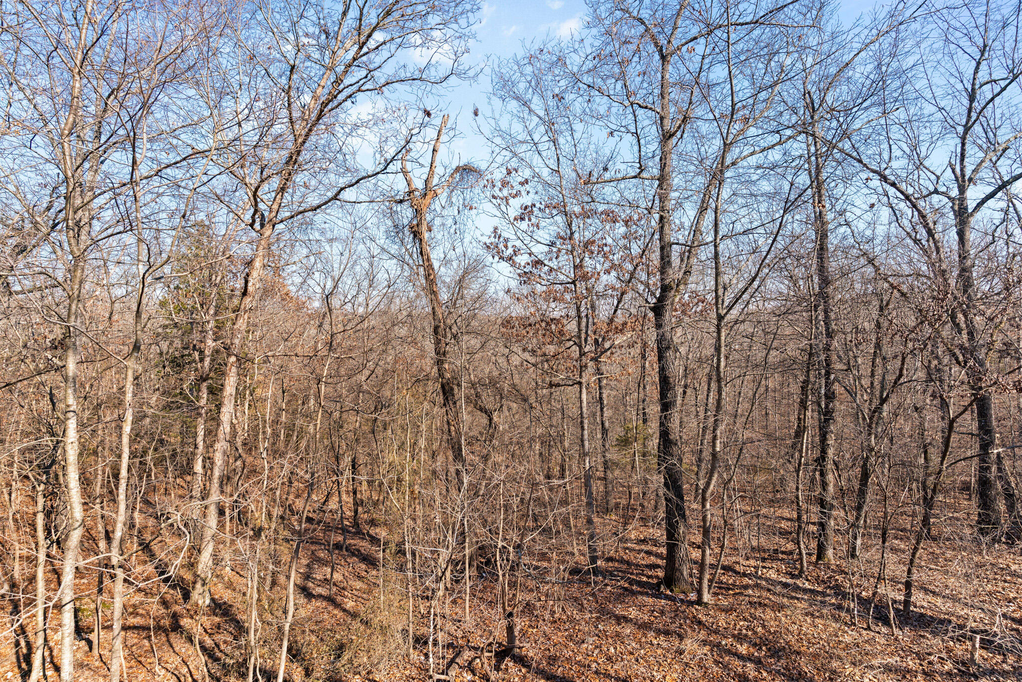 730 County Rd 815 Property Photo 53