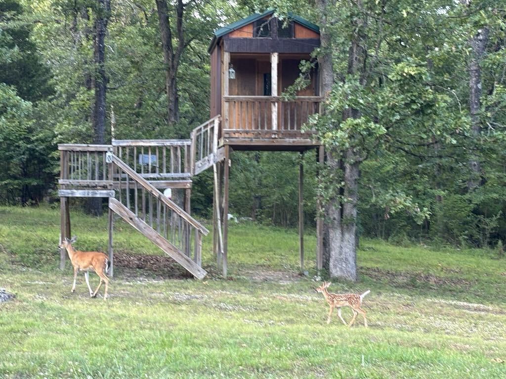 730 County Rd 815 Property Photo 55