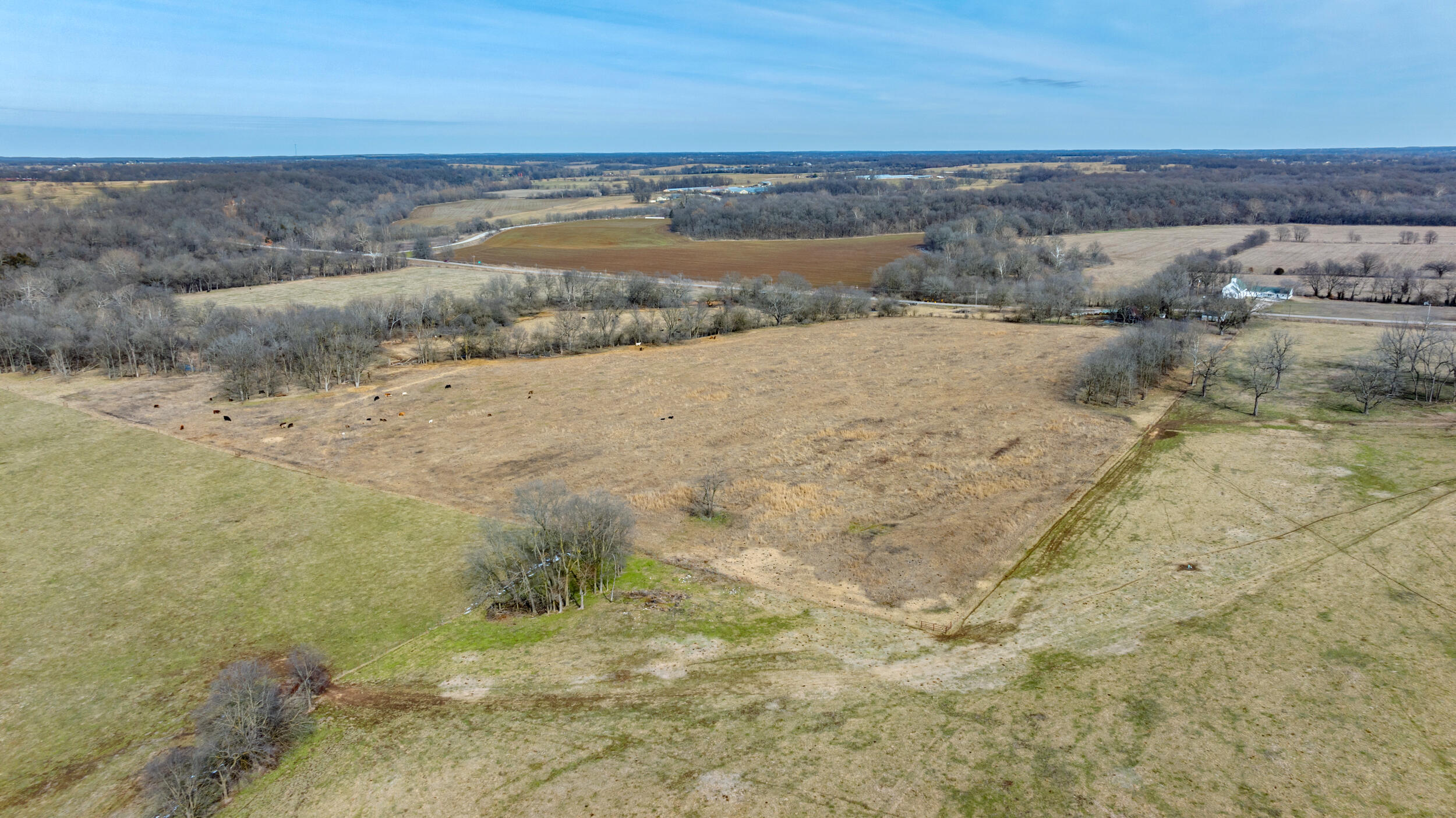 17430 State Hwy O Property Photo 5