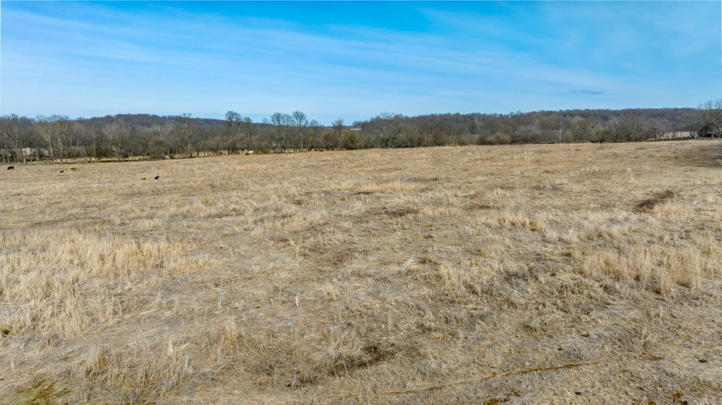 17430 State Hwy O Property Photo 6